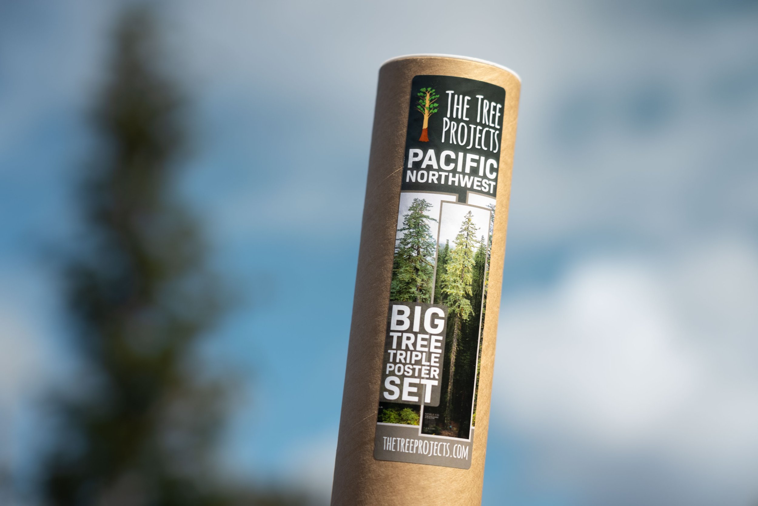 The Tree Projects-PNW Poster Tubes-WEB-sRGB-20221030-06705.jpg