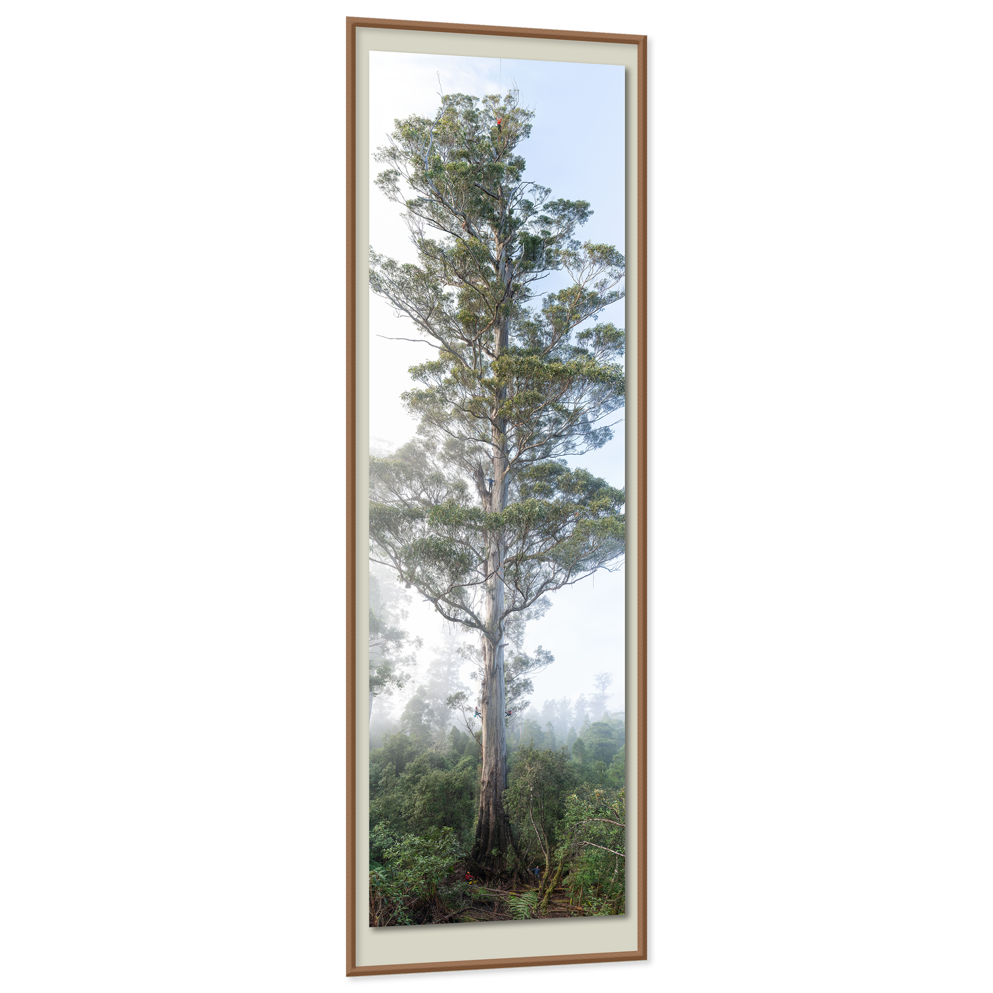 All Portraits 1x1 LK Frame Slant.png