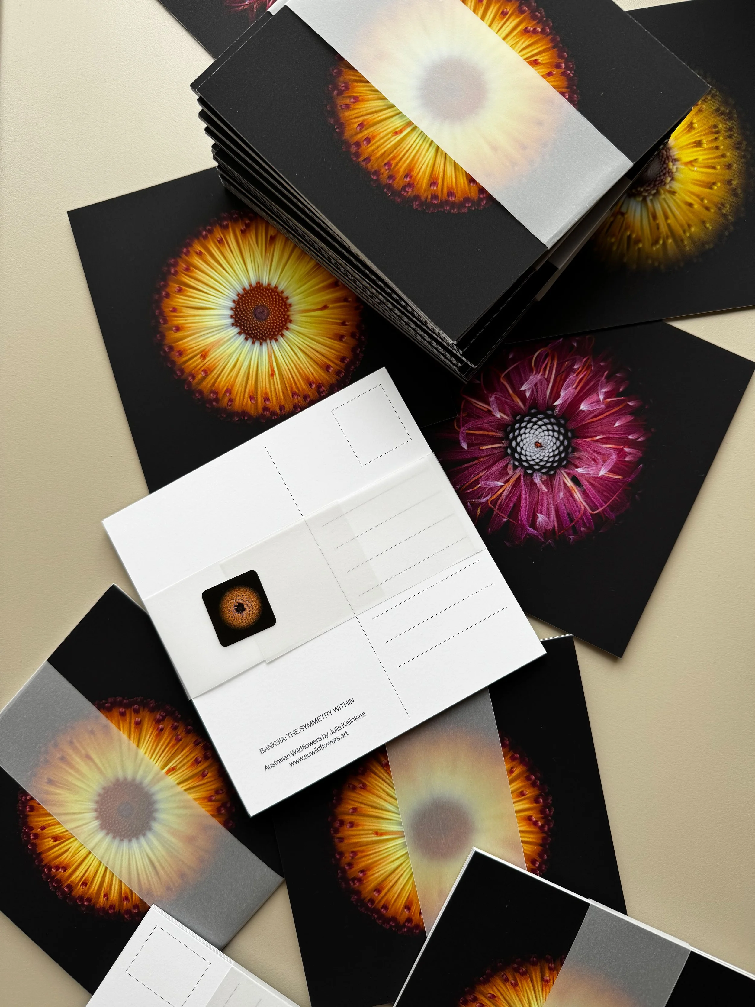 The Symmetry Within - Postcard Set (6 Designs)