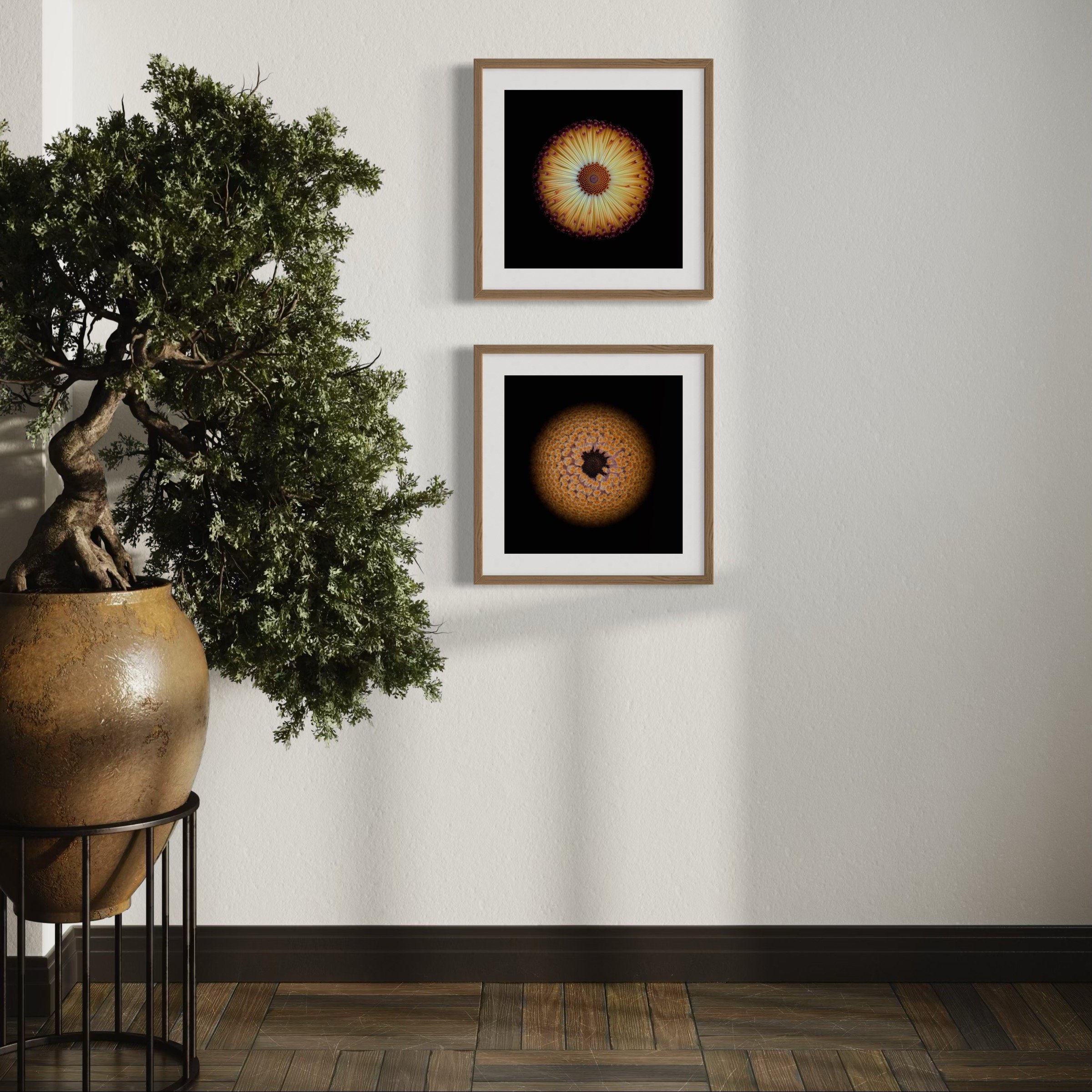 Symmetry+Within+-+Diptych+1-5.jpg