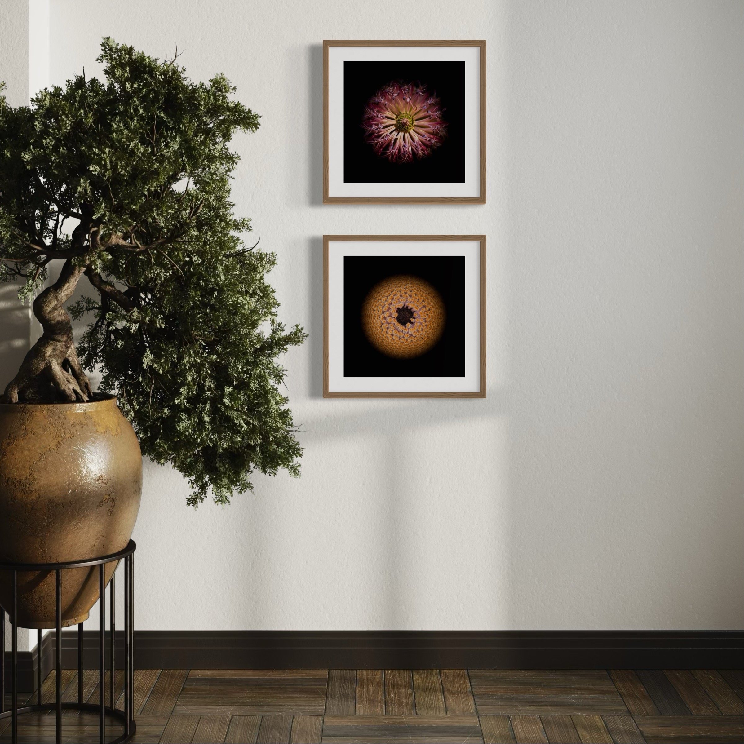 Symmetry+Within+-+Diptych+4-5.jpg