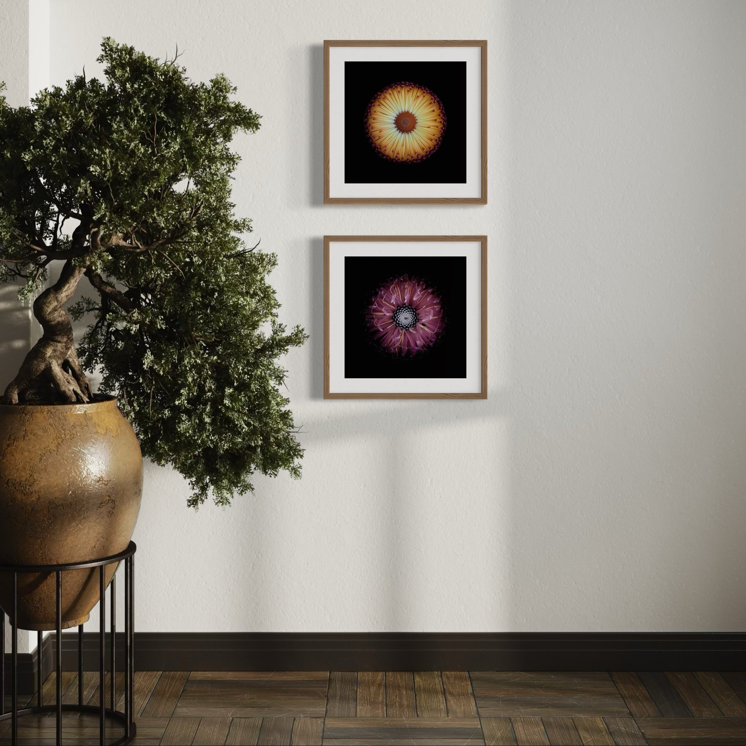 Symmetry+Within+-+Diptych+1-2.jpg