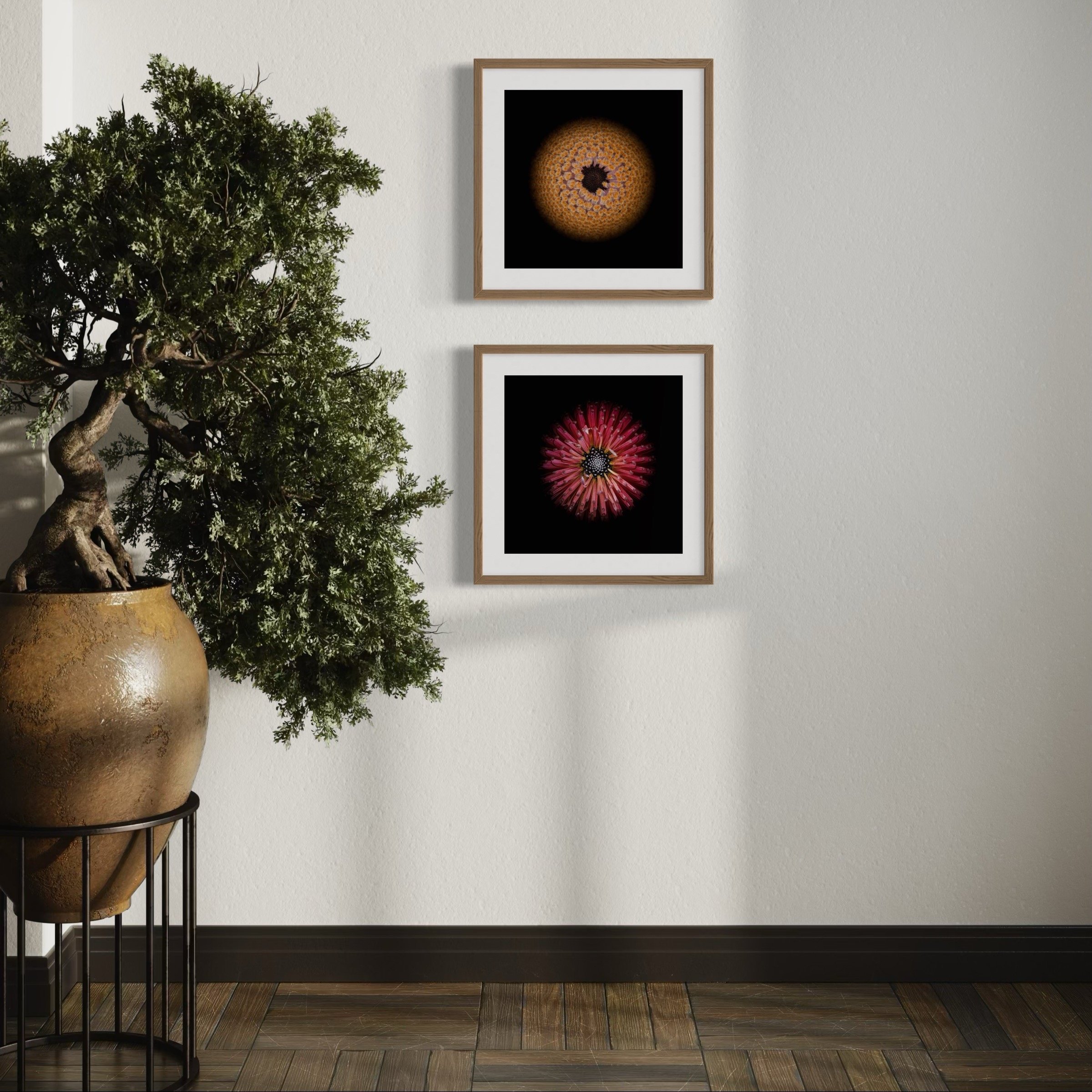 Symmetry+Within+-+Diptych+5-6.jpg