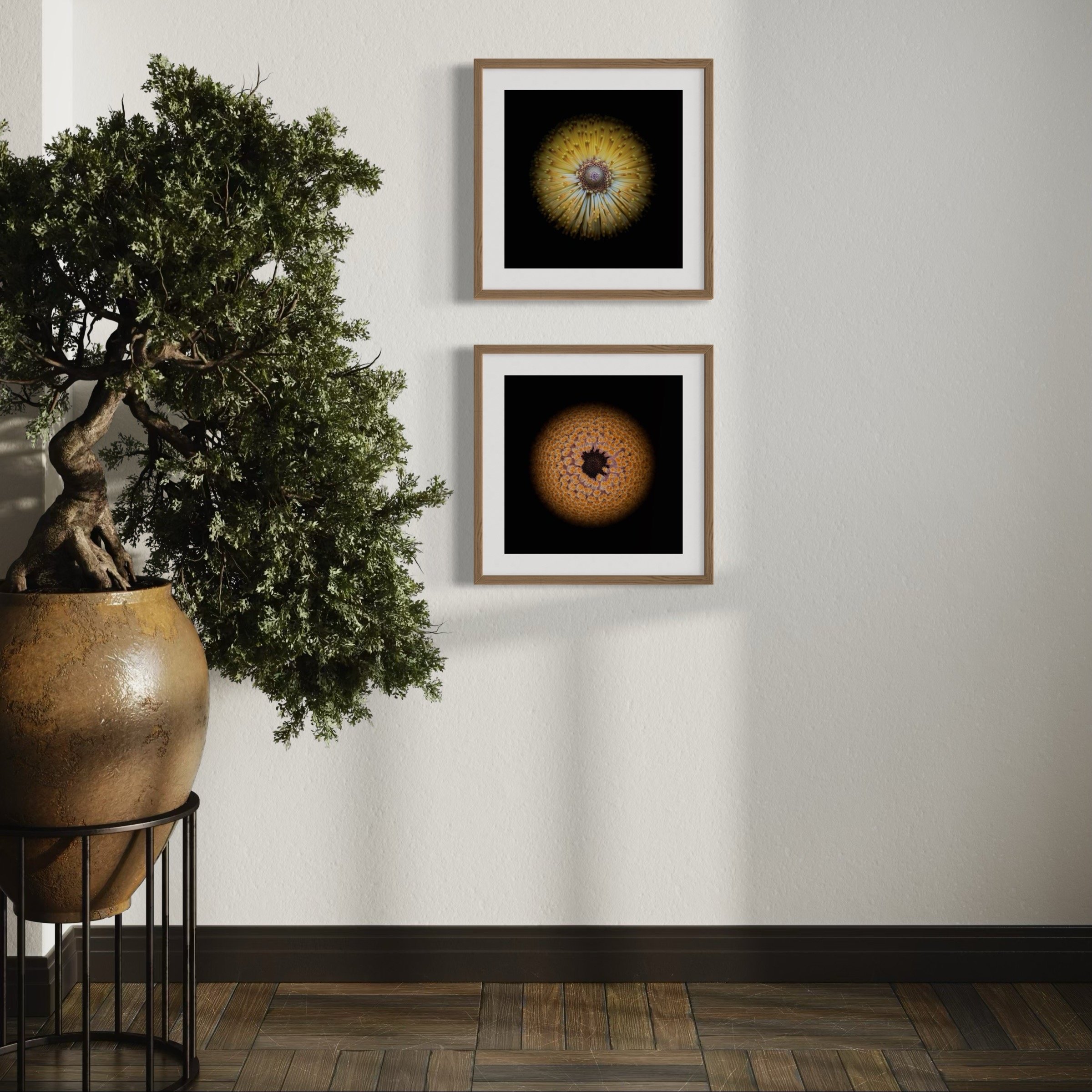 Symmetry+Within+-+Diptych+3-5.jpg