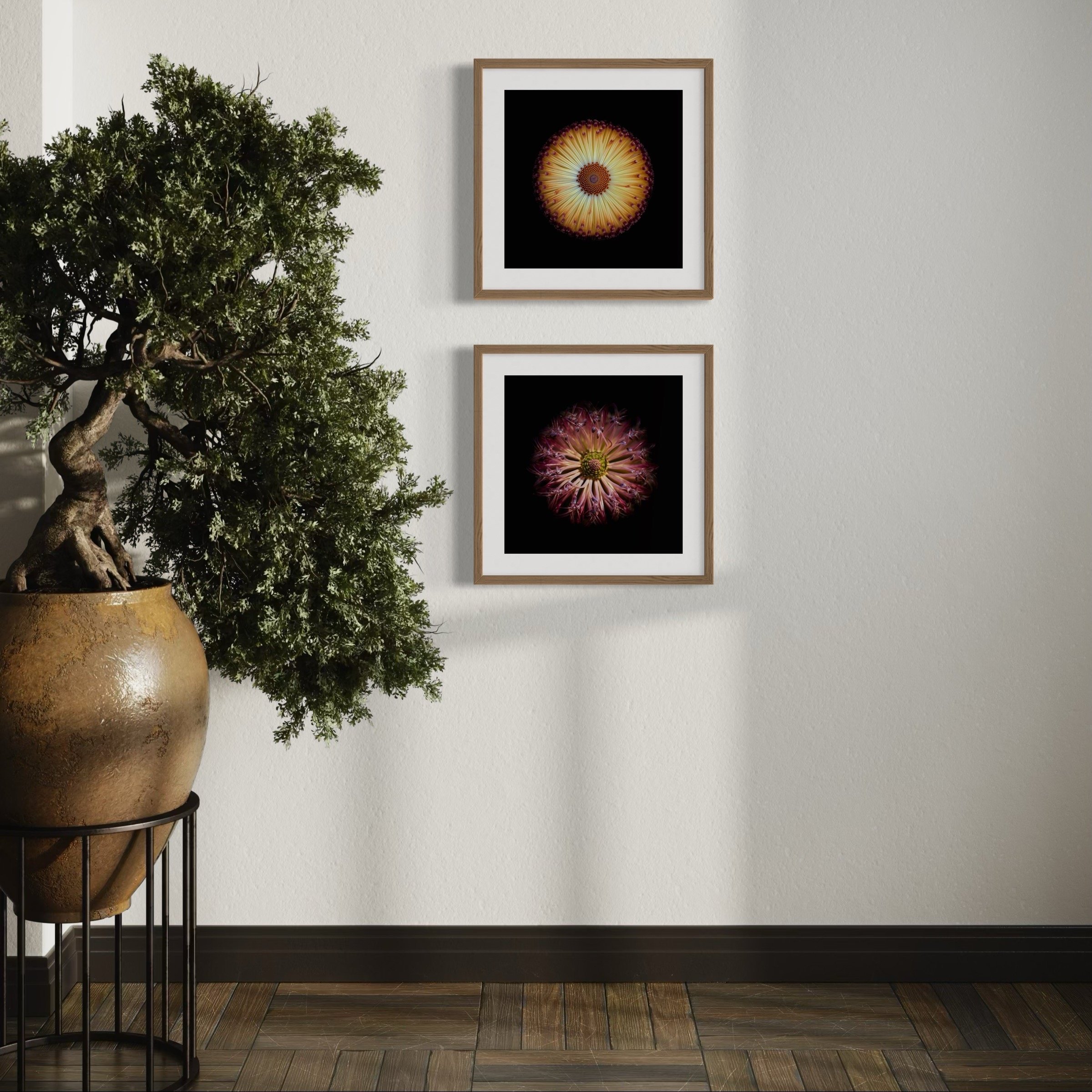 Symmetry+Within+-+Diptych+1-4.jpg