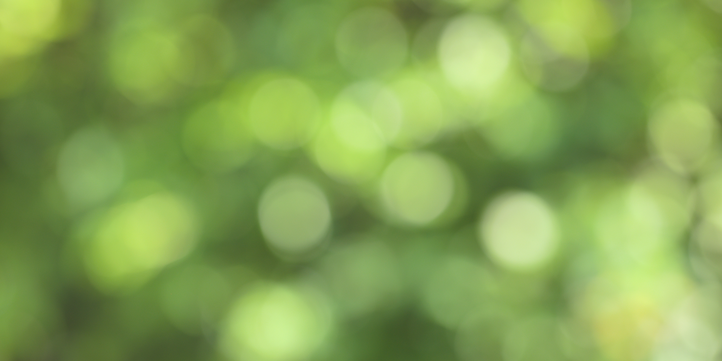 Website Banner.png