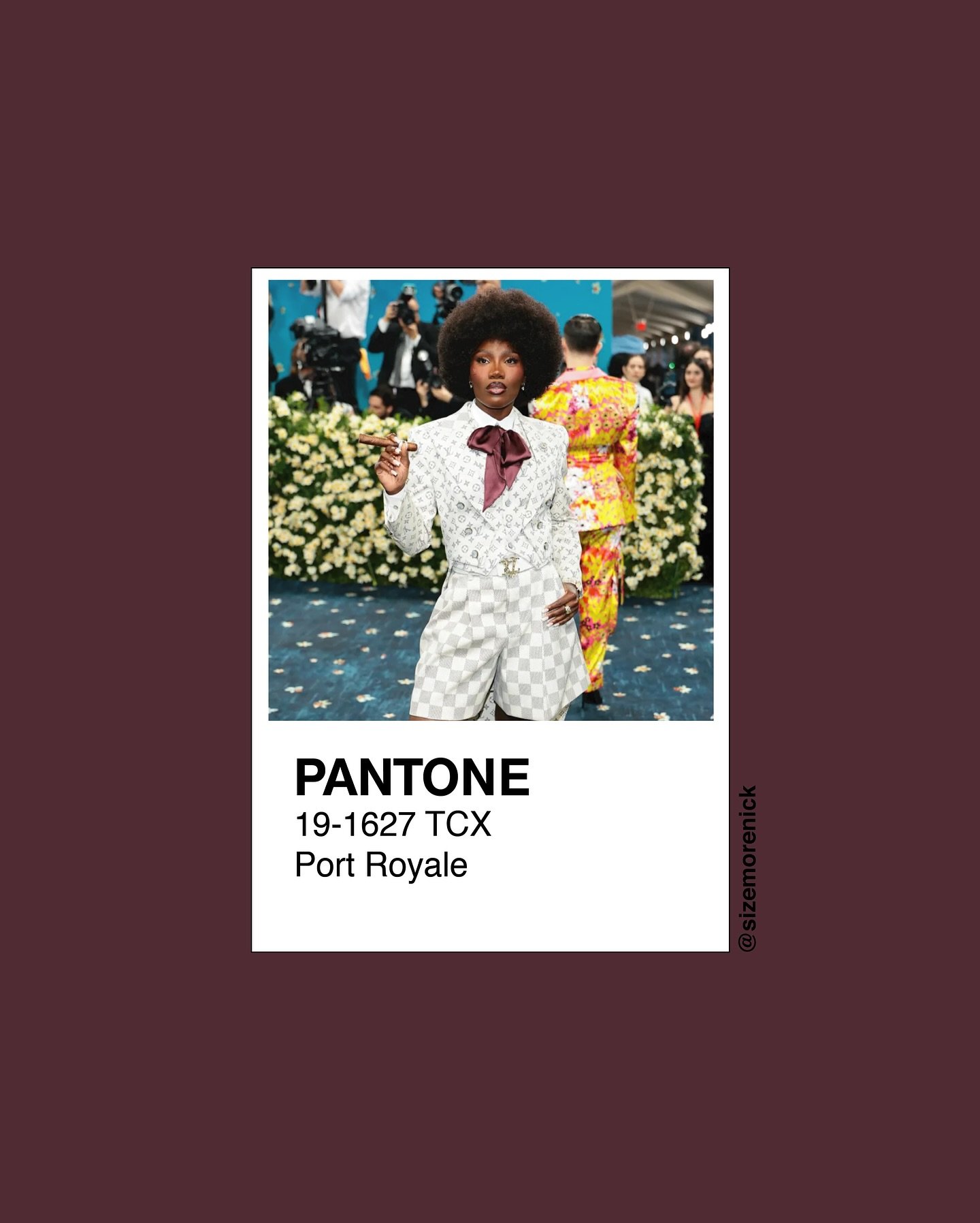 1 of 3 -- Red carpet color recap from the 2025 Met Gala.  Images from Getty Images.  Color matching by #sizemorecolorstudios.  #MetGala #MetGalaRedCarpet #FirstMondayinMay
.
.
.
.
.
#ThePantoneProject #pantone #pantoneuniverse #pantonegram #pantonepr