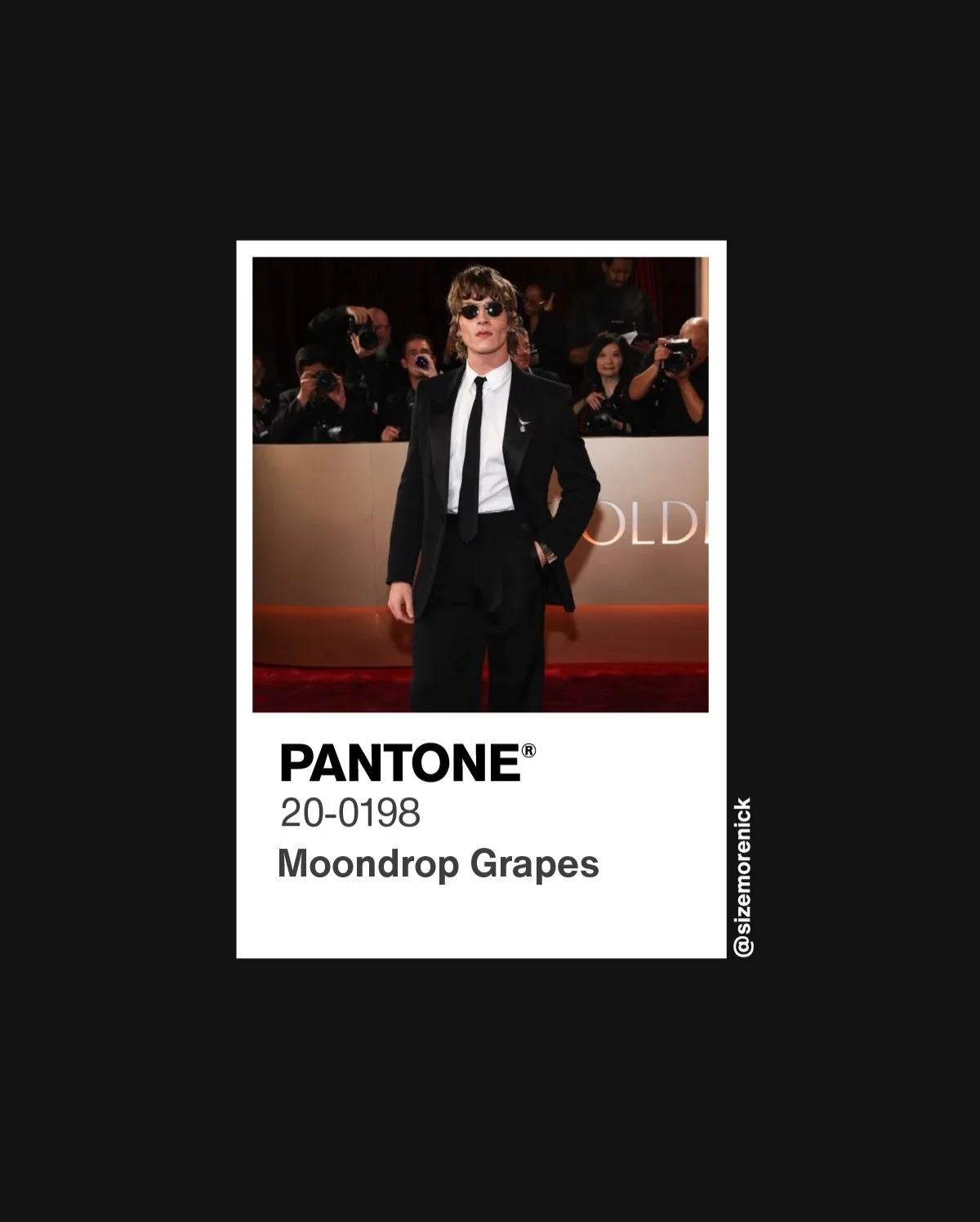 1 of 3 -- It was a carpet filled with Black and White!  Red carpet color recap from the 2026 Golden Globes.  Images from Getty Images.  Color matching by #sizemorecolorstudios.  #GoldenGlobes #GoldenGlobezRedCarpet