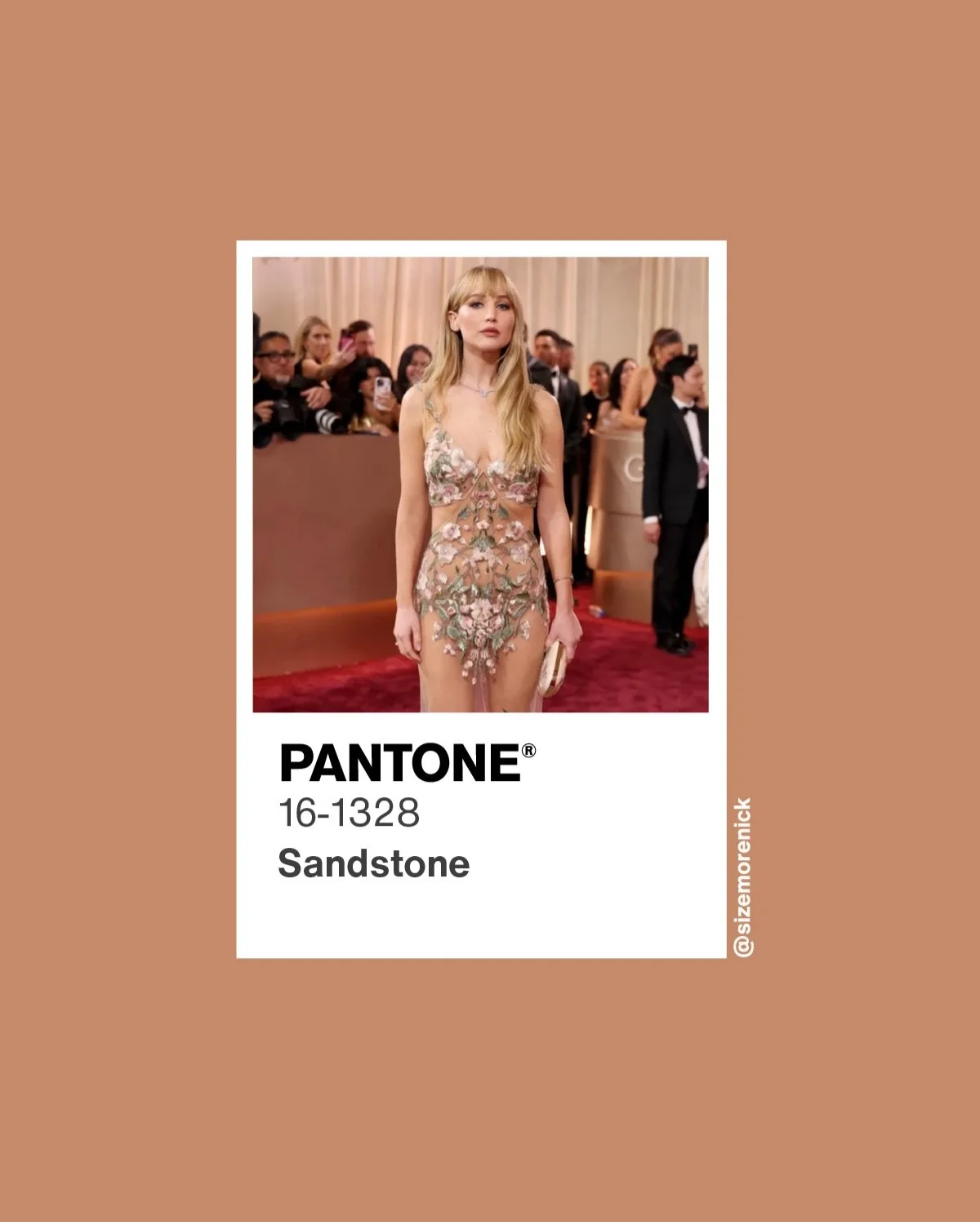 2 of 3 -- Being on the beading, metallics and nude illusion!  Red carpet color recap from the 2026 Golden Globes.  Images from Getty Images.  Color matching by #sizemorecolorstudios.  #GoldenGlobes #GoldenGlobezRedCarpet