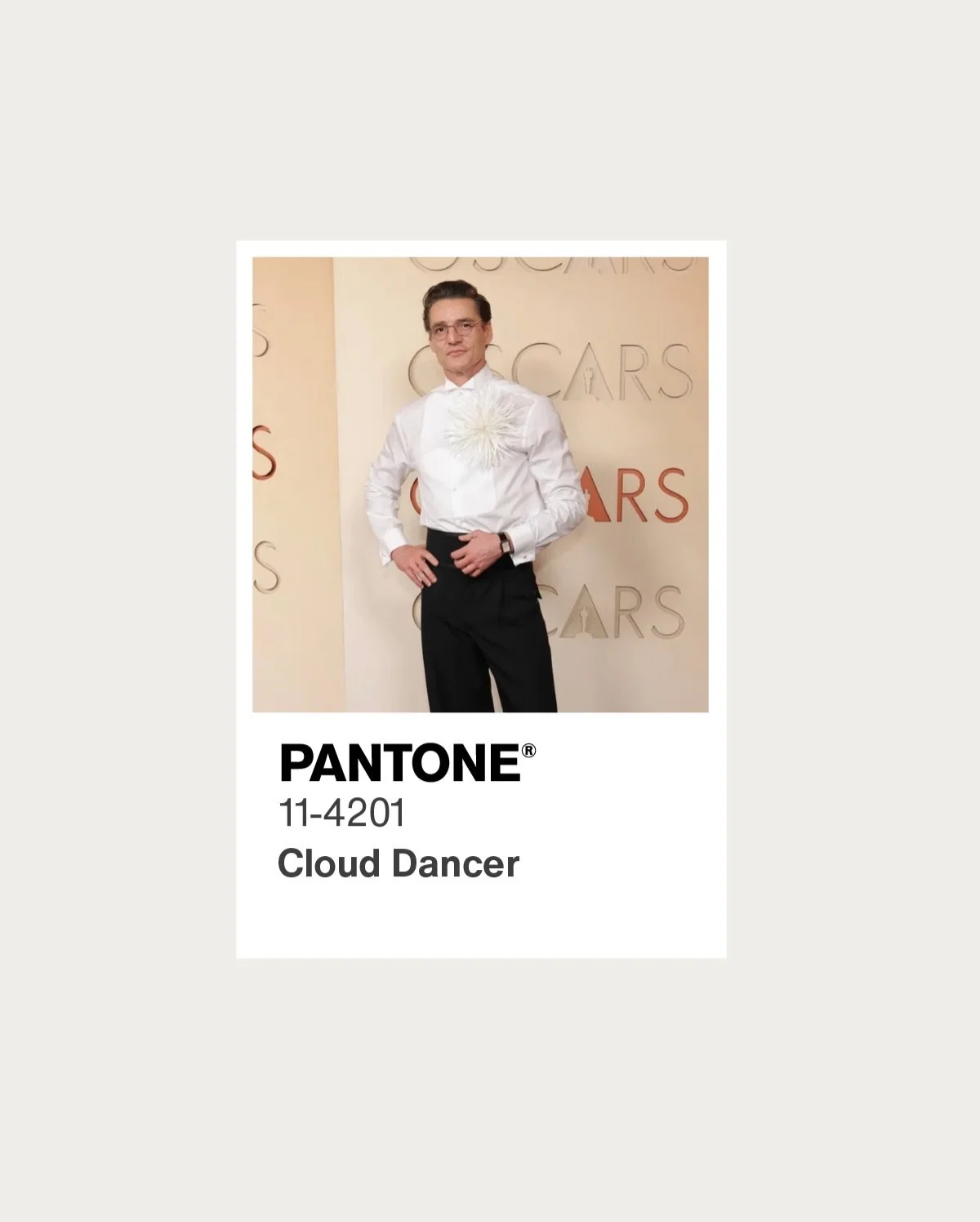 2 of 3 -- Red carpet color recap from the 2026 Oscars.  Images from Getty Images.  Color matching by #sizemorecolorstudios.  #AcademyAwards #AcademyAwardsRedCarpet #colormatching #trendcolors RedCarpetColorReport