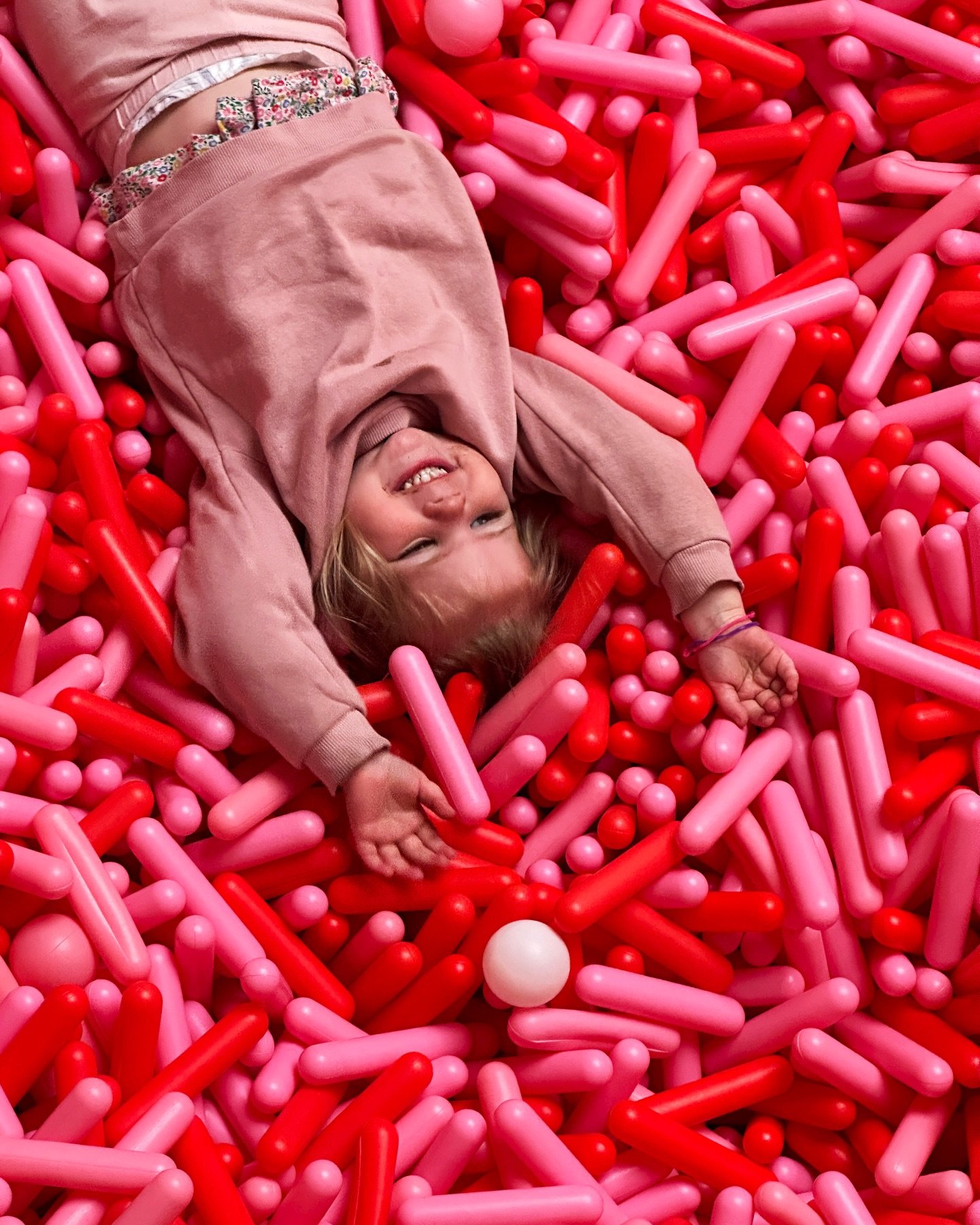 A family portrait series.  In red and pink sprinkles... obviously.  So glad everyone came to visit last weekend.