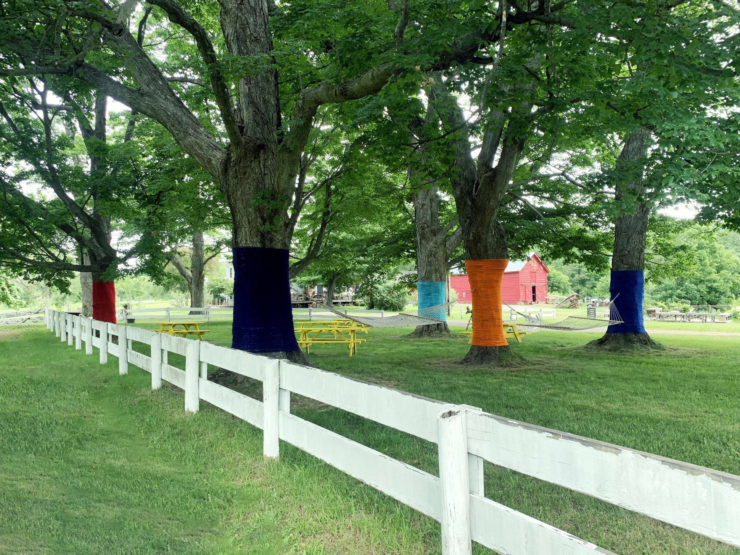 FarmOn! Foundation Nick Sizemore Color Studios Empire Farm Copake NY String Installation String Art Summer 2022 Pantone