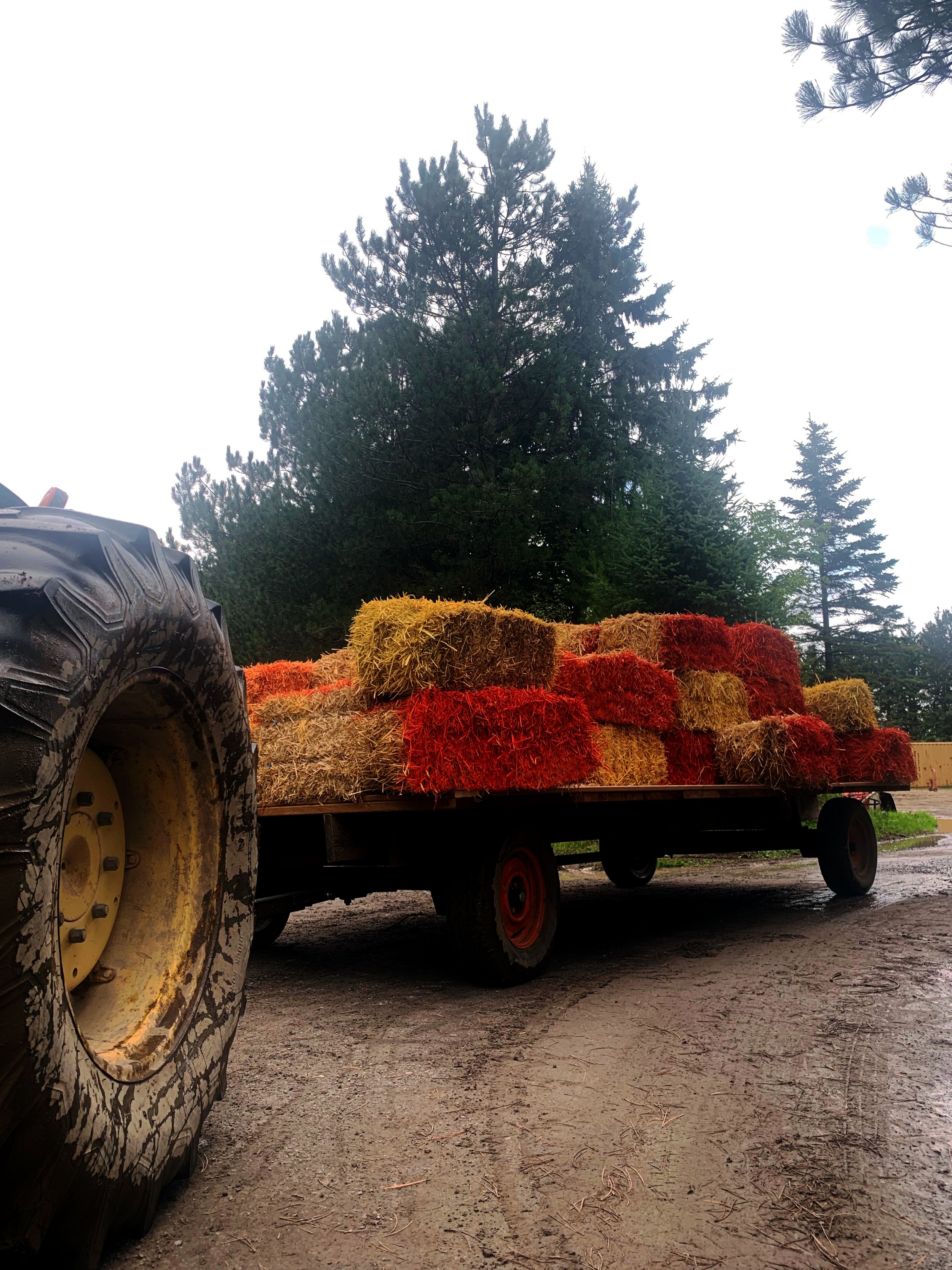 saunders farm fall activations vintage truck photo moment farm chic pumpkin stacks farm event decor Nick sizemore color studios spary painted hay on truck bed