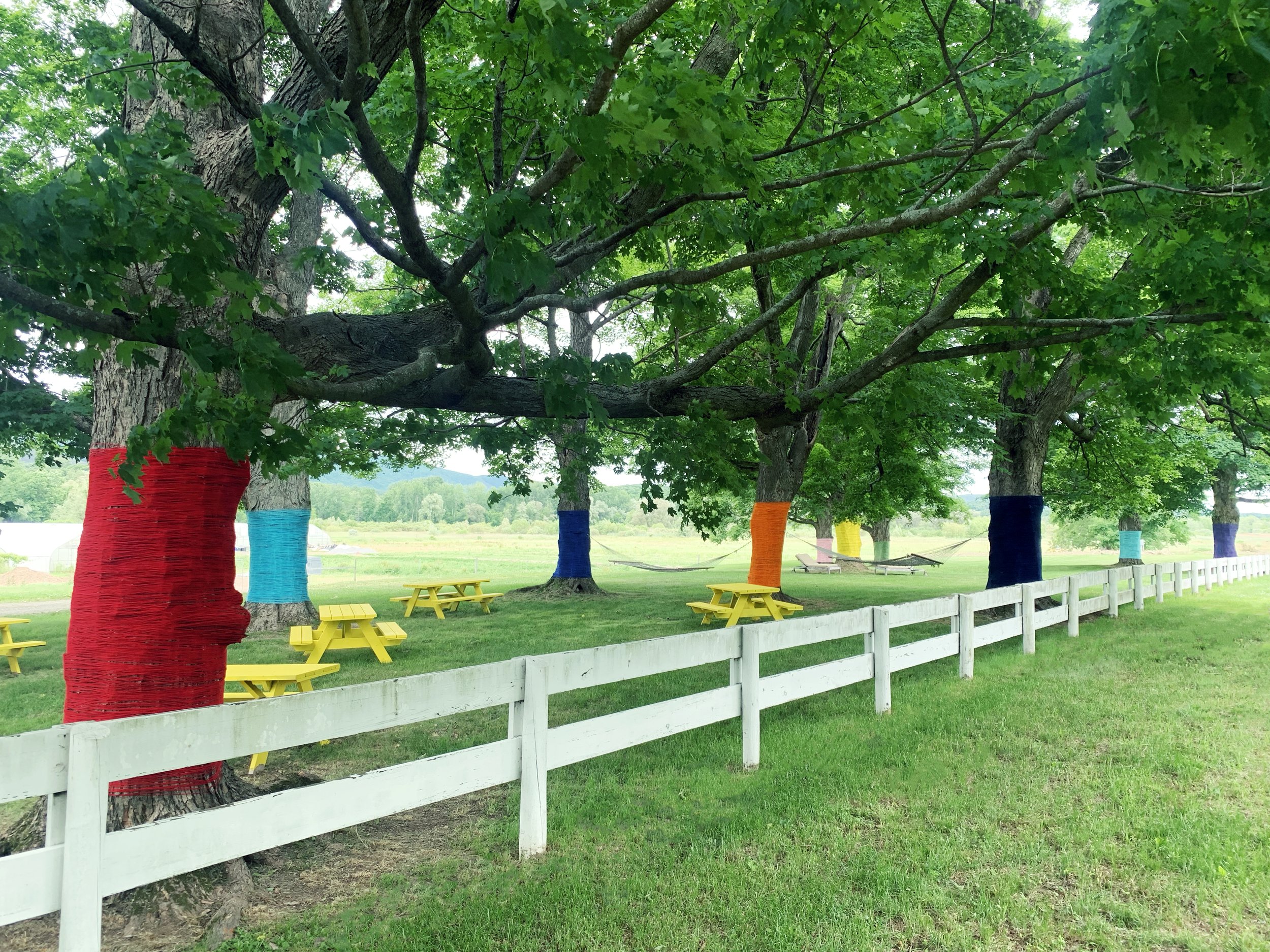 FarmOn! Foundation Nick Sizemore Color Studios Empire Farm Copake NY String Installation String Art Summer 2022 Pantone Yellow Picnic Tables