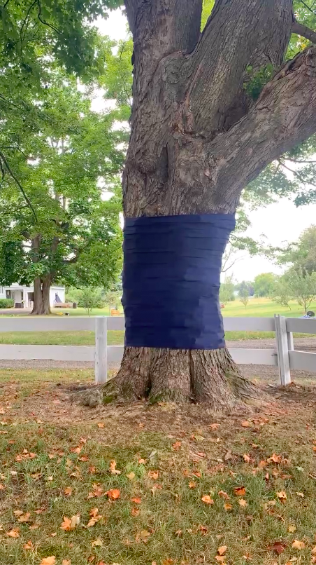 Ribbon Wrapped Trees Farm On! Farm On! Nick Sizemore Color Studios Upstate New York Hudson New York Copake Empire Farm Event Design Wedding Decor Navy Blue