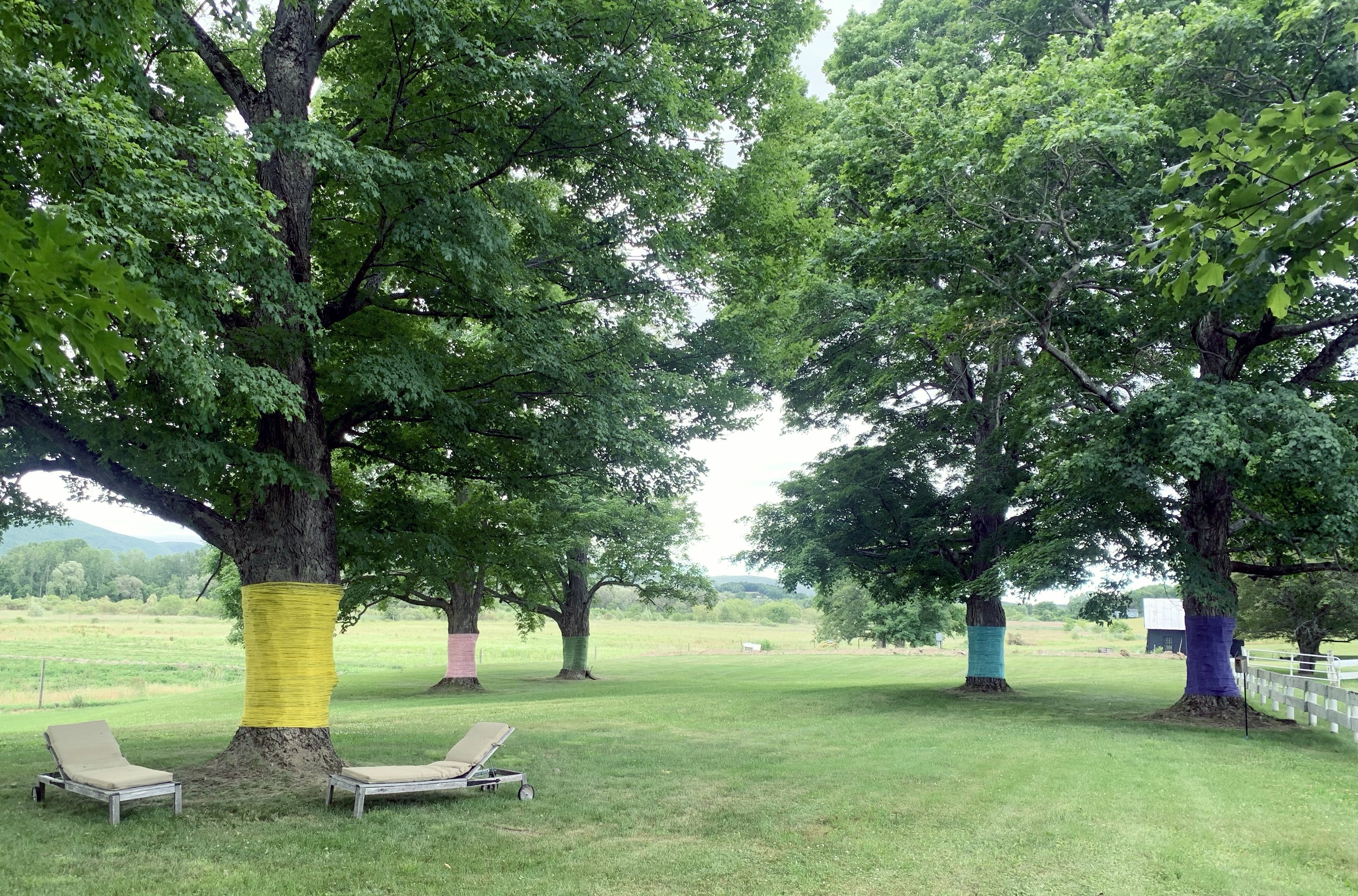 FarmOn! Foundation Nick Sizemore Color Studios Empire Farm Copake NY String Installation String Art Summer 2022 Pantone 13-0647 TCX Illuminating Yellow