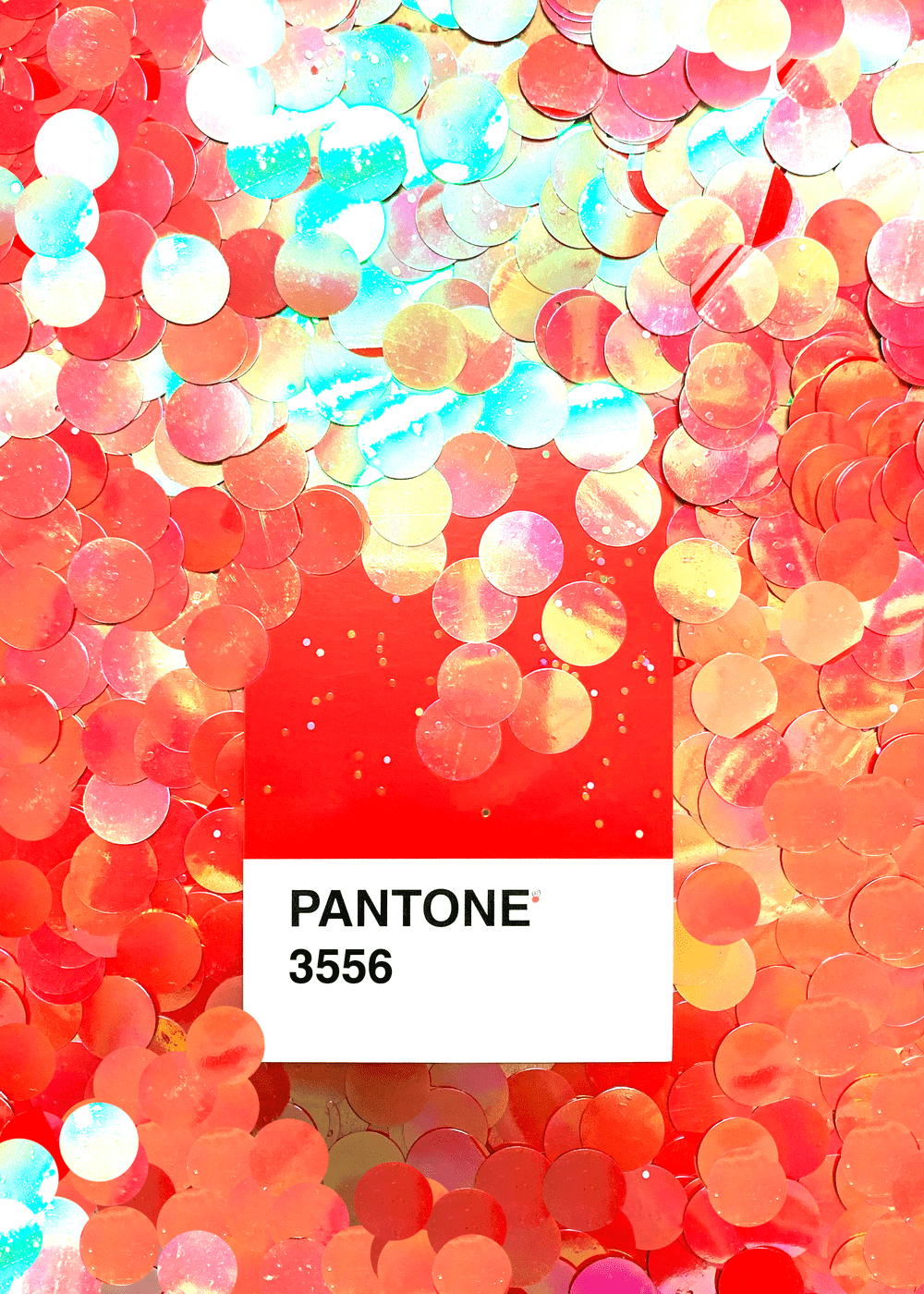 Pantone 3556 Holiday Greeting Card — Sizemore Color Studios