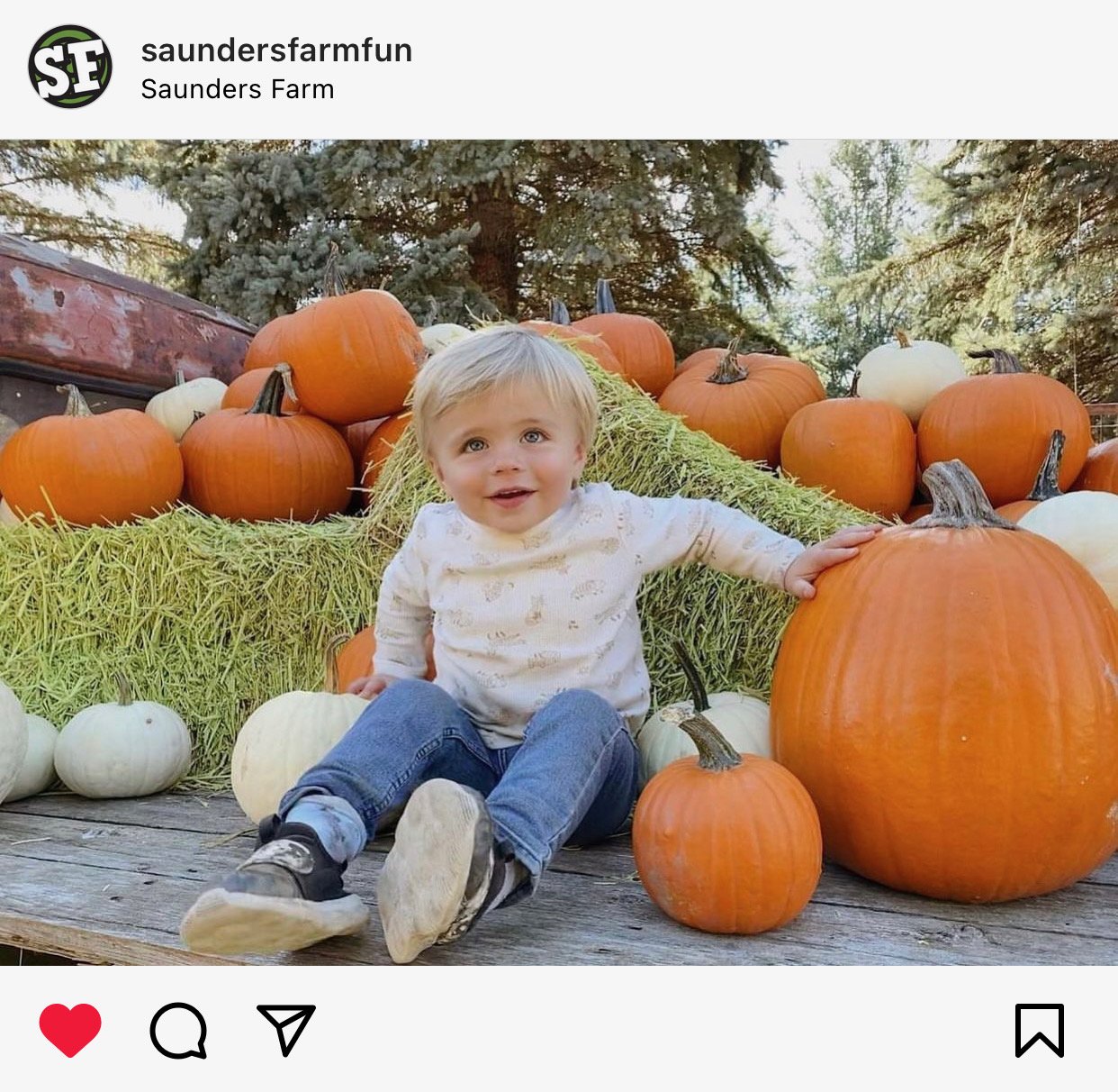 saunders farm fall activations vintage truck photo moment farm chic pumpkin stacks farm event decor Nick sizemore color studios @saundersfarmfun
