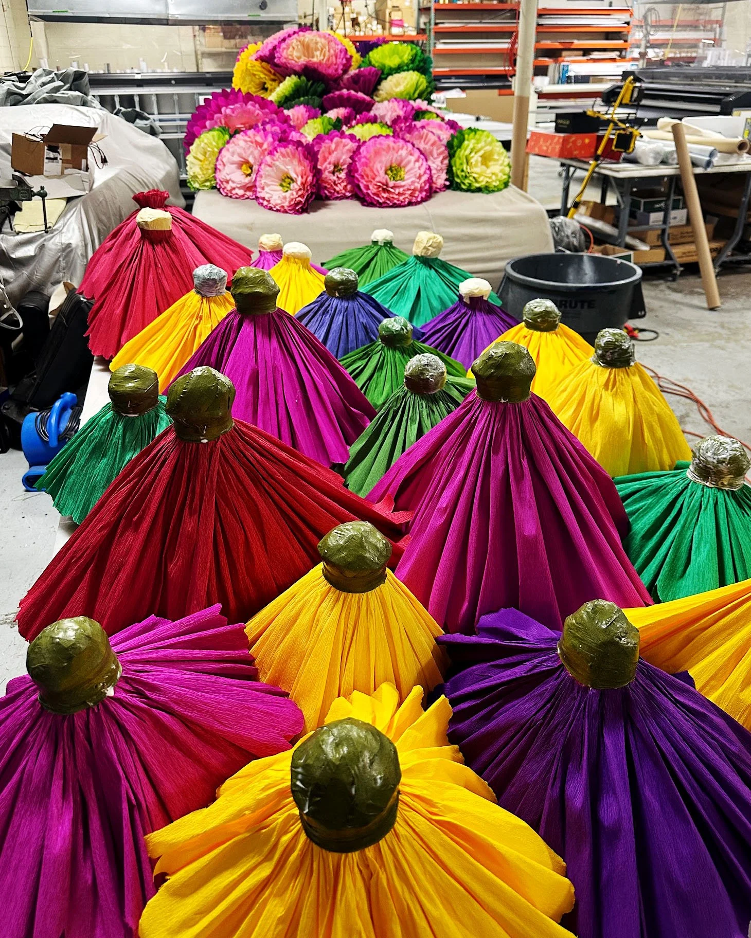 Buds of different colored crepe flowers