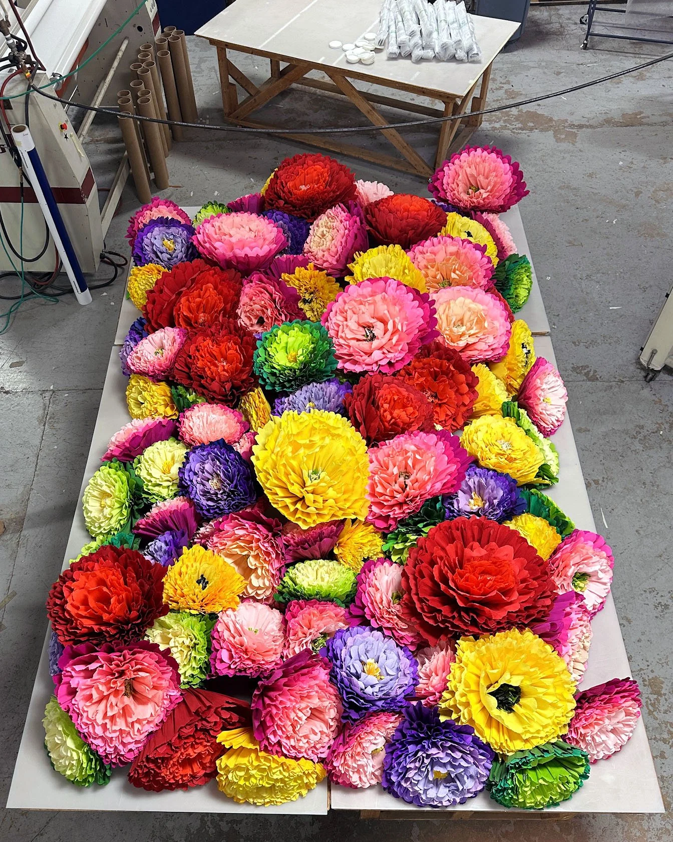 Over 100 oversized crepe flowers 