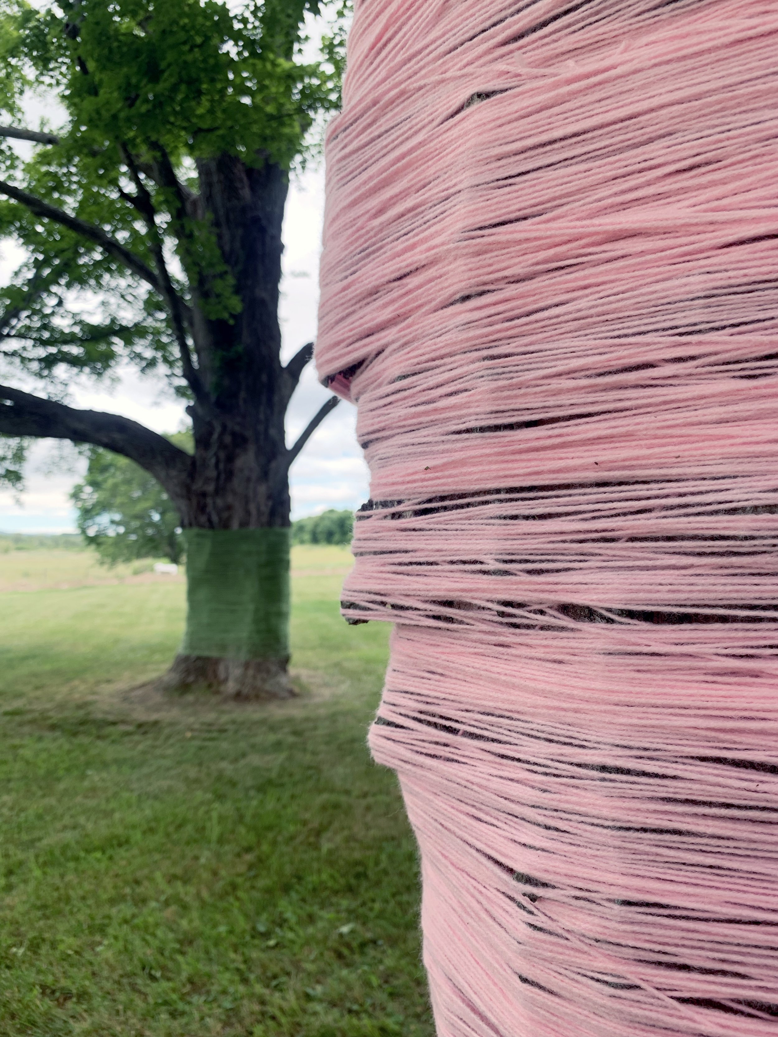 FarmOn! Foundation Nick Sizemore Color Studios Empire Farm Copake NY String Installation String Art Summer 2022 Pantone Pink and Green