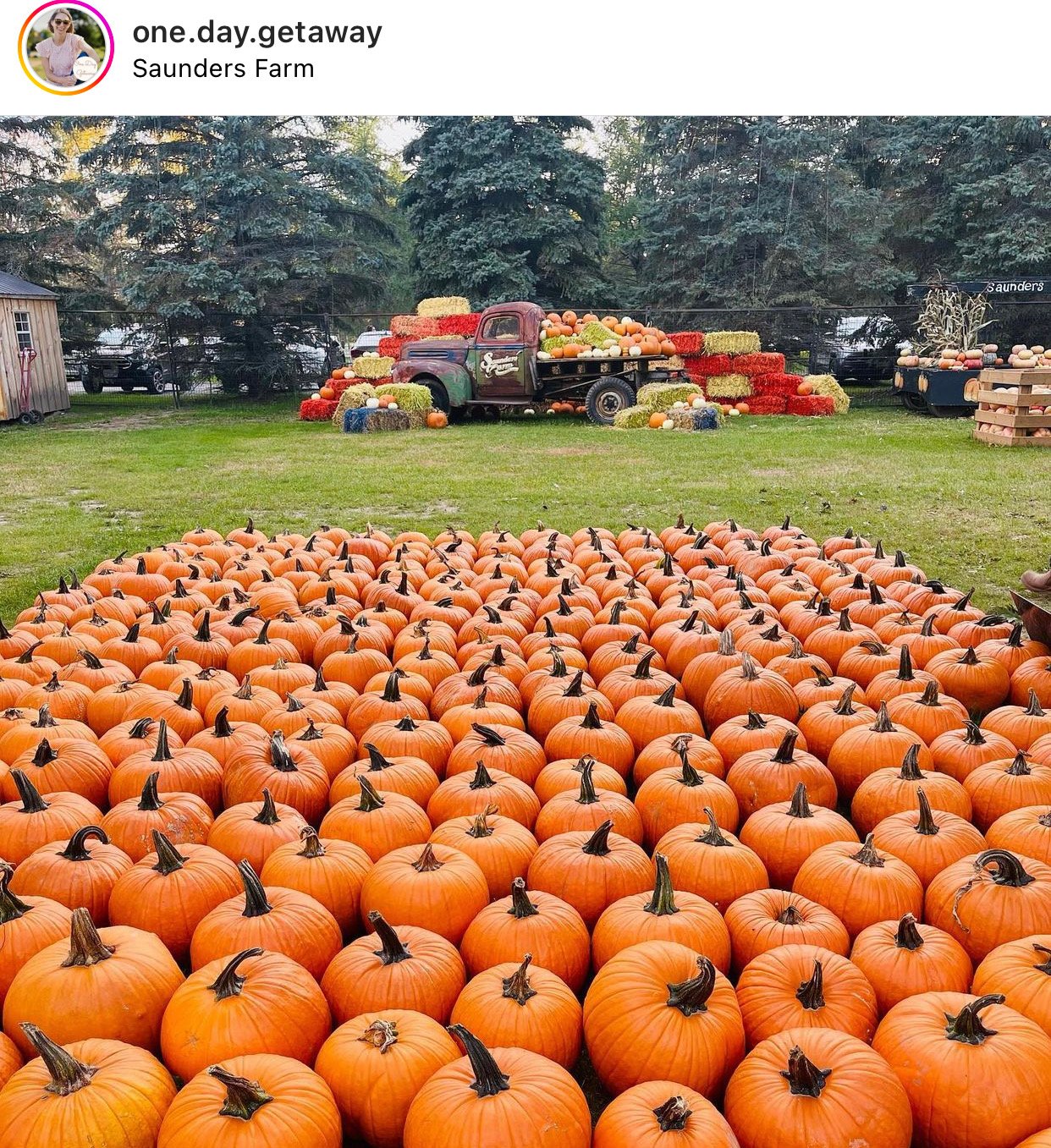 saunders farm fall activations vintage truck photo moment farm chic pumpkin stacks farm event decor Nick sizemore color studios instagram shot of rows of pumpkins
