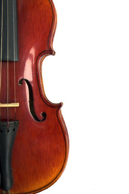 InkedViolin+isolated+on+white+background_LI+-+edited.jpg