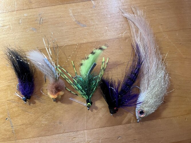 Varying sizes and colors of proven redfish flies