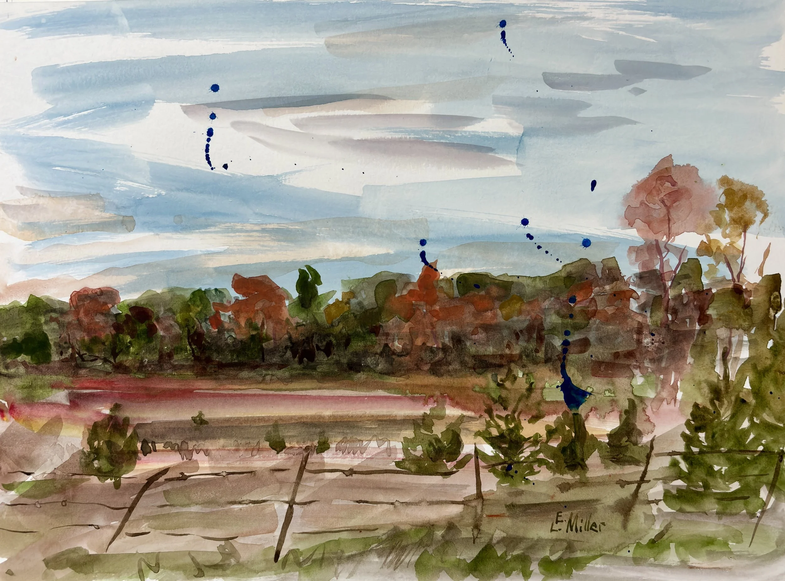 Evening Pasture