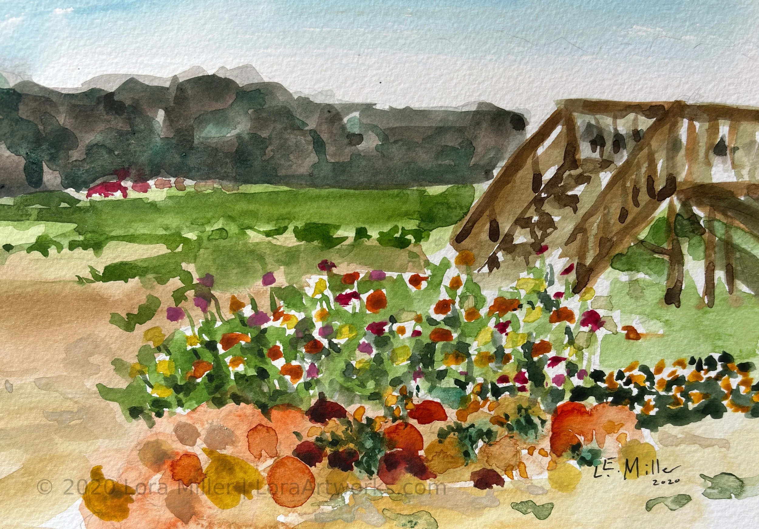 Crossing into Summer