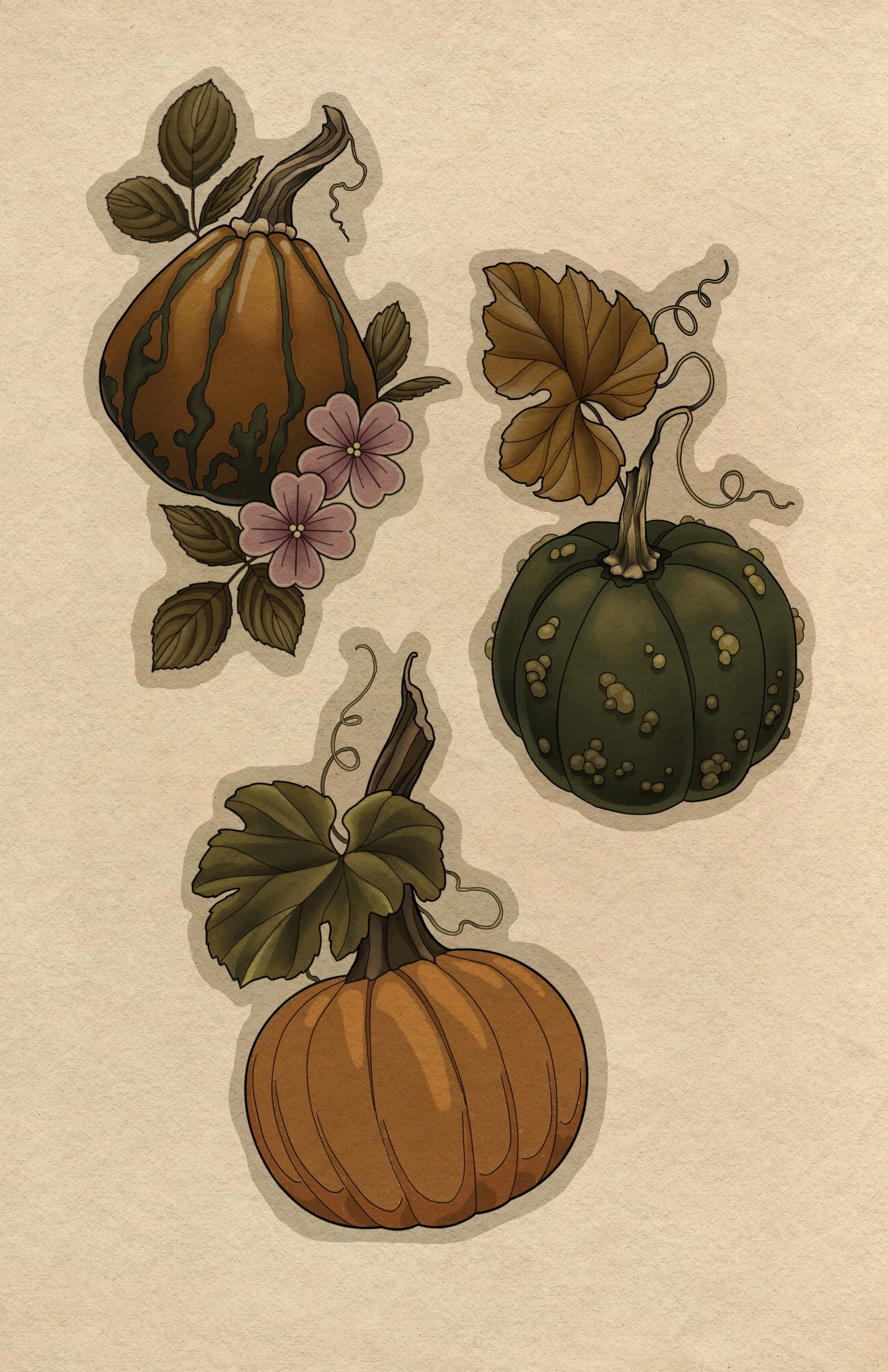 2-3 hours (each) - minimum height 6"