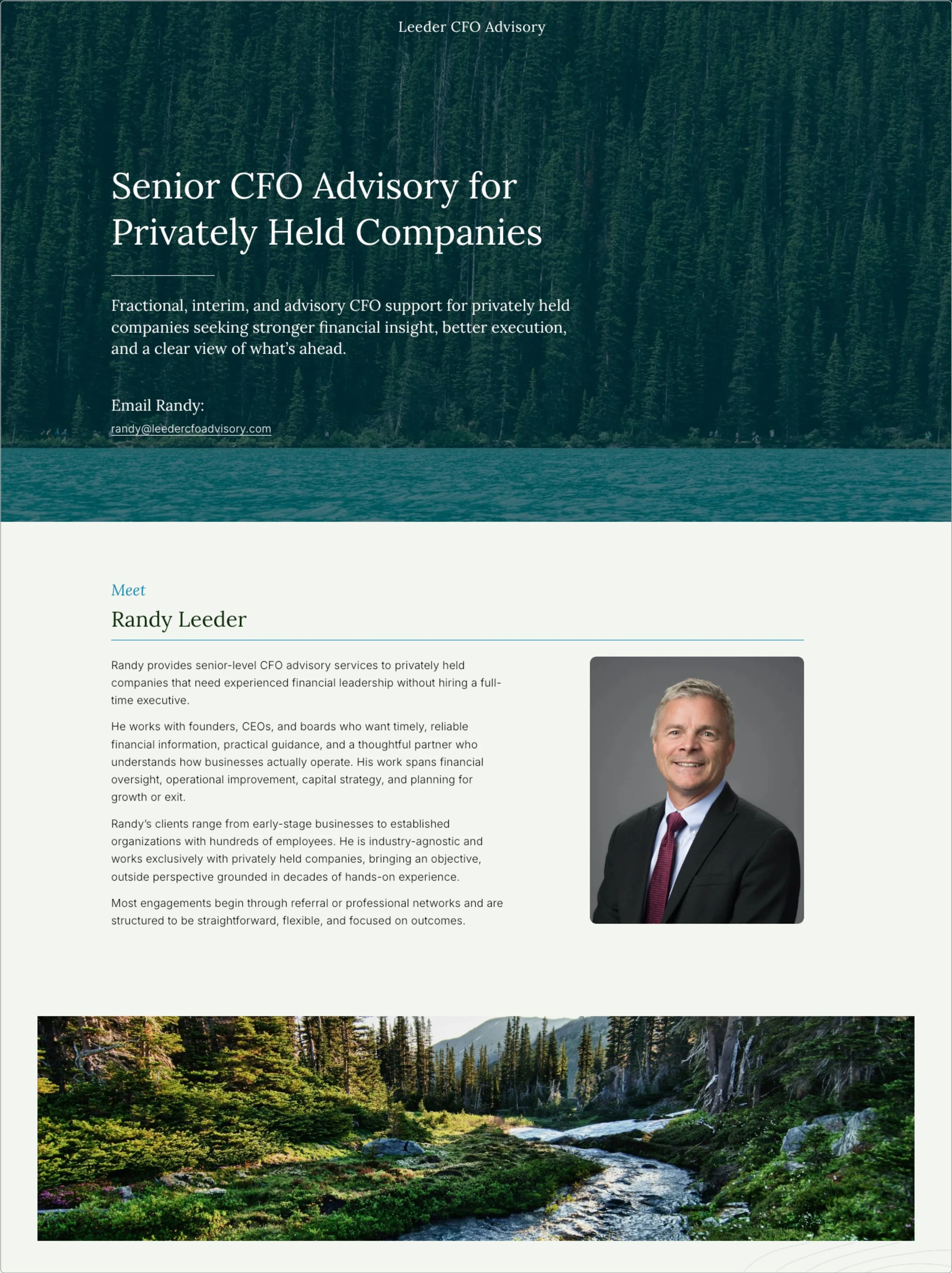 Website design for Fractional CFO Advisory by Up in a Day