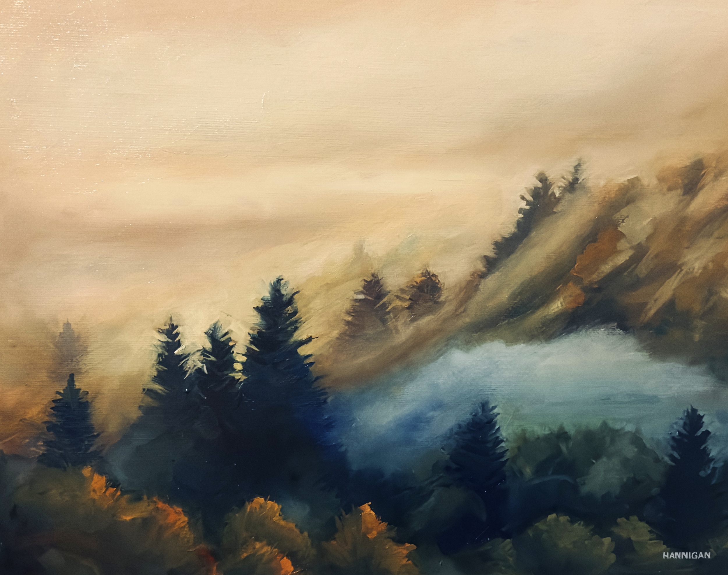 misty forest.png