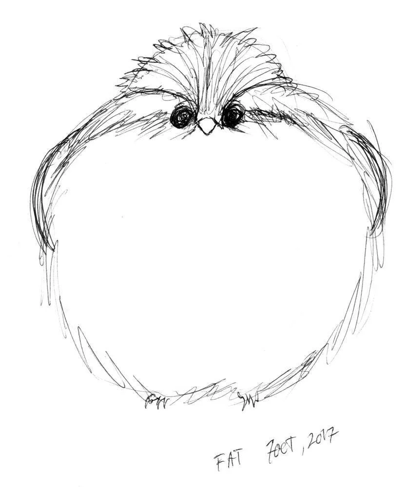 A sketch of a round, fluffy bird with large, dark eyes and a small beak. The drawing is simple and rough, with the artist's note "FAT ZOOT, 2017" written in the bottom right corner.