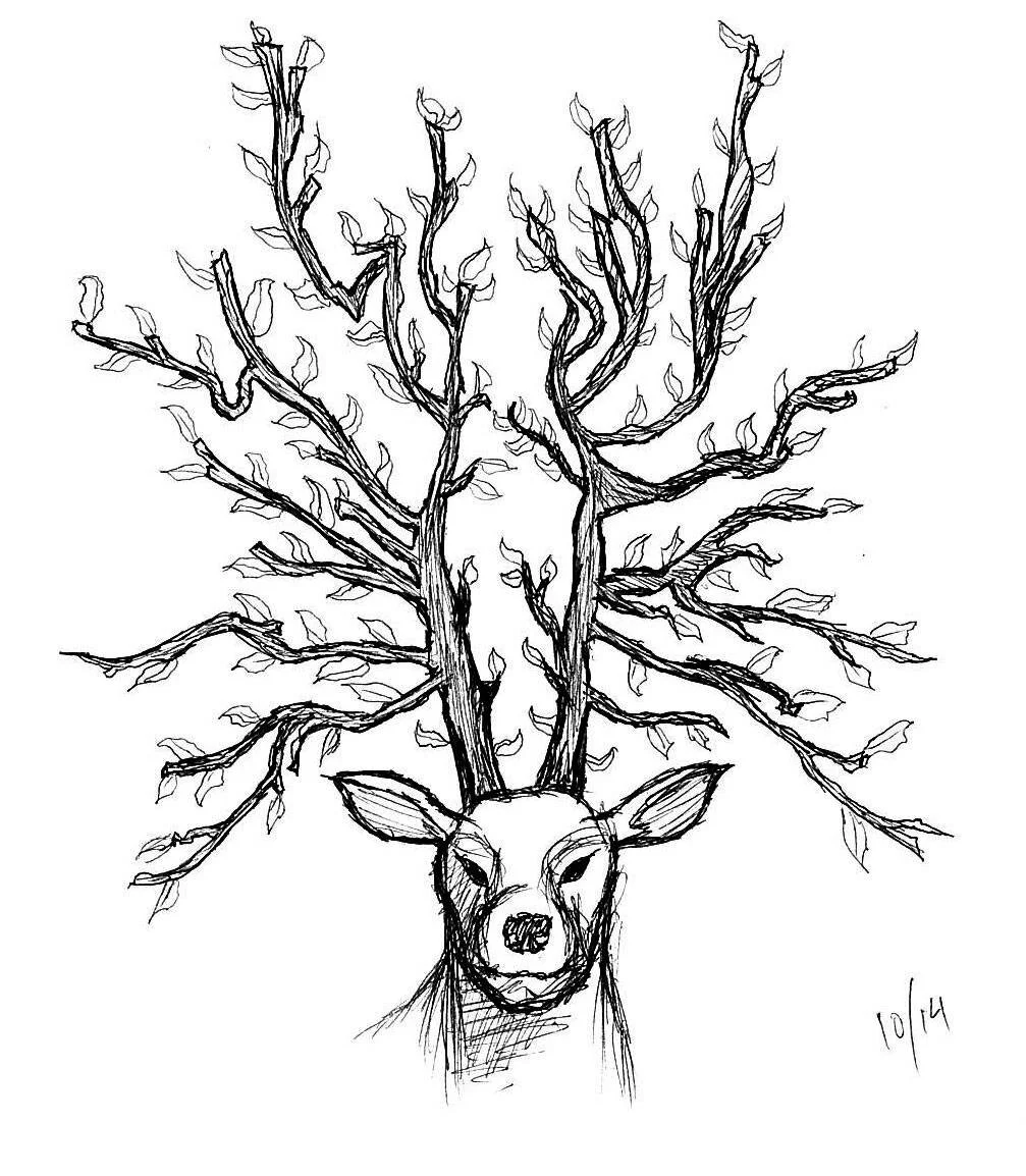 A black and white sketch of a deer with large, gnarled antlers that resemble tree branches, with small leaves sprouting from them. The deer has a calm expression and is depicted from the shoulders up, with the drawing signed "10/14" in the bottom rig