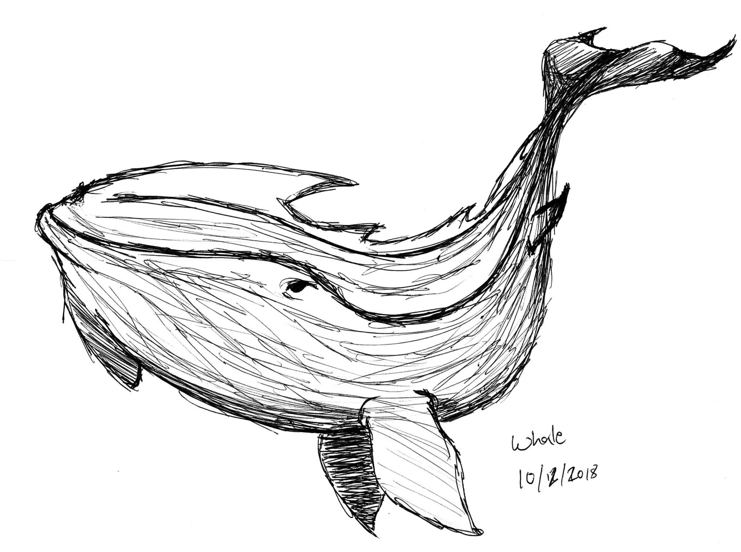 Black and white sketch of a whale with a dorsal fin and tail above the water, signed 'whole' and dated 10/12/2018.