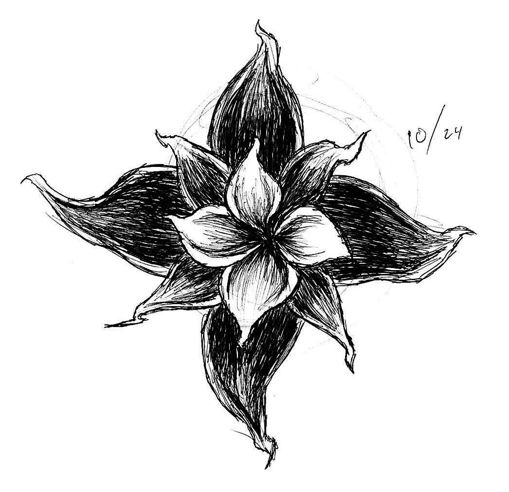 Sketch of a multi-layered flower with six large petals and detailed lines, dated 10/24.