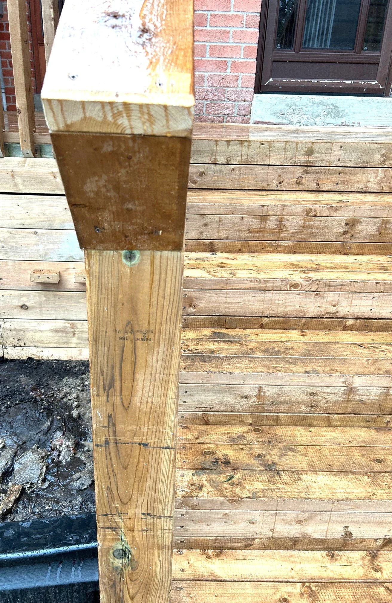 IMG_7601 cropped.jpg