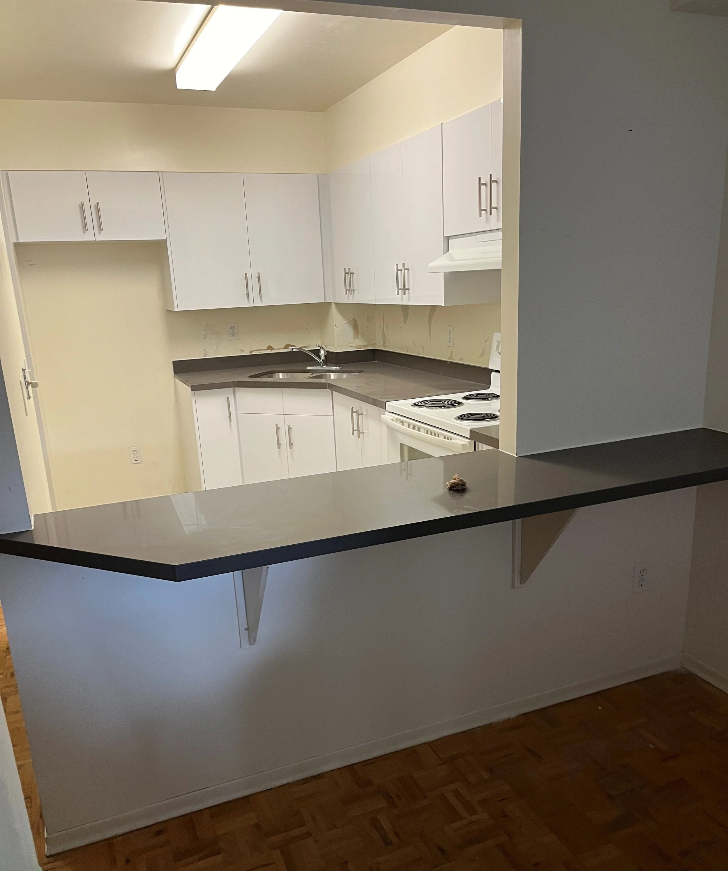 PEREGRINE AFTER U302 - 1croppd.jpg