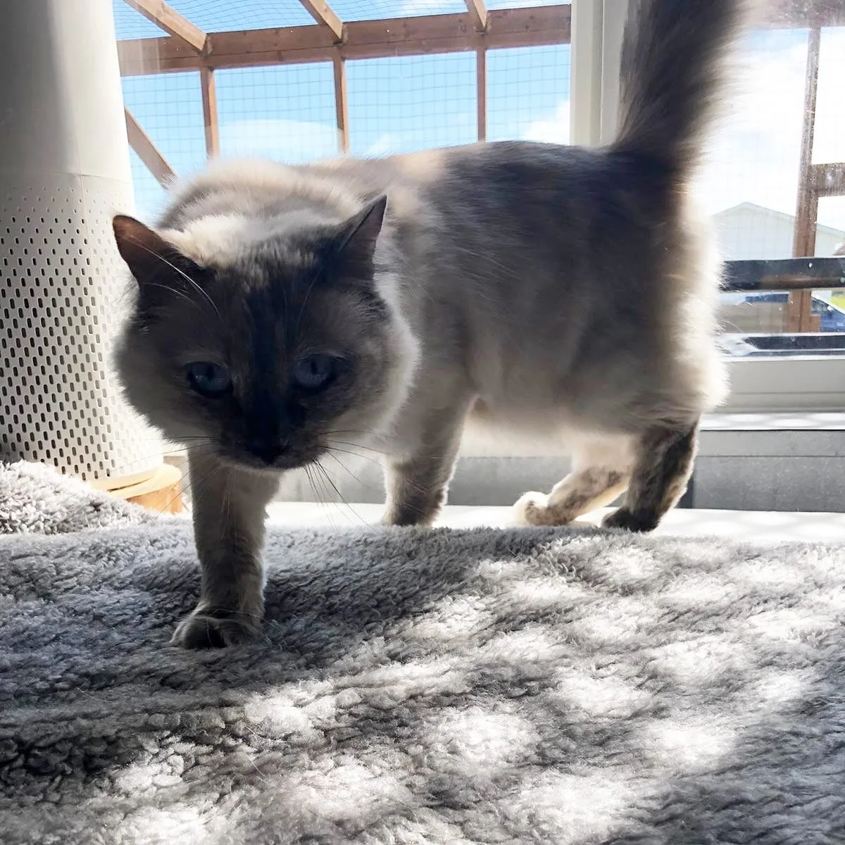 Great start to July 🥰💙