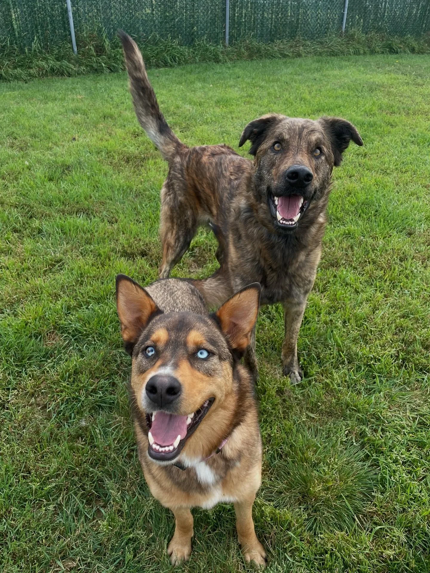 SUMMER FOREVER 🫶🏼💕