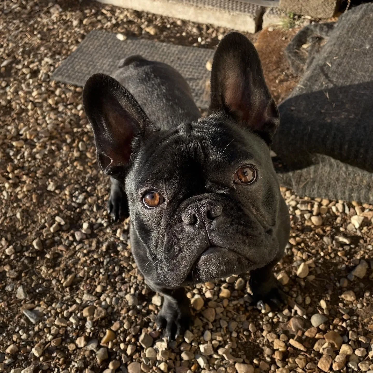 🥹🥰💙 sweet little angels, each and every one.