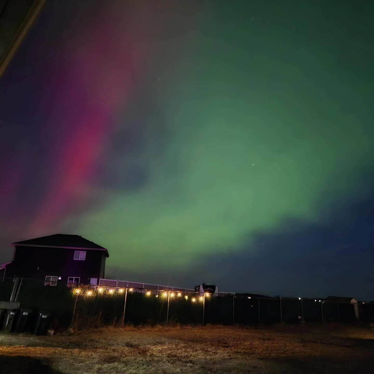 We were spoiled with a spectacular light show this week! Absolutely stunning skies here at Cloud Nine. 💕💚🩵