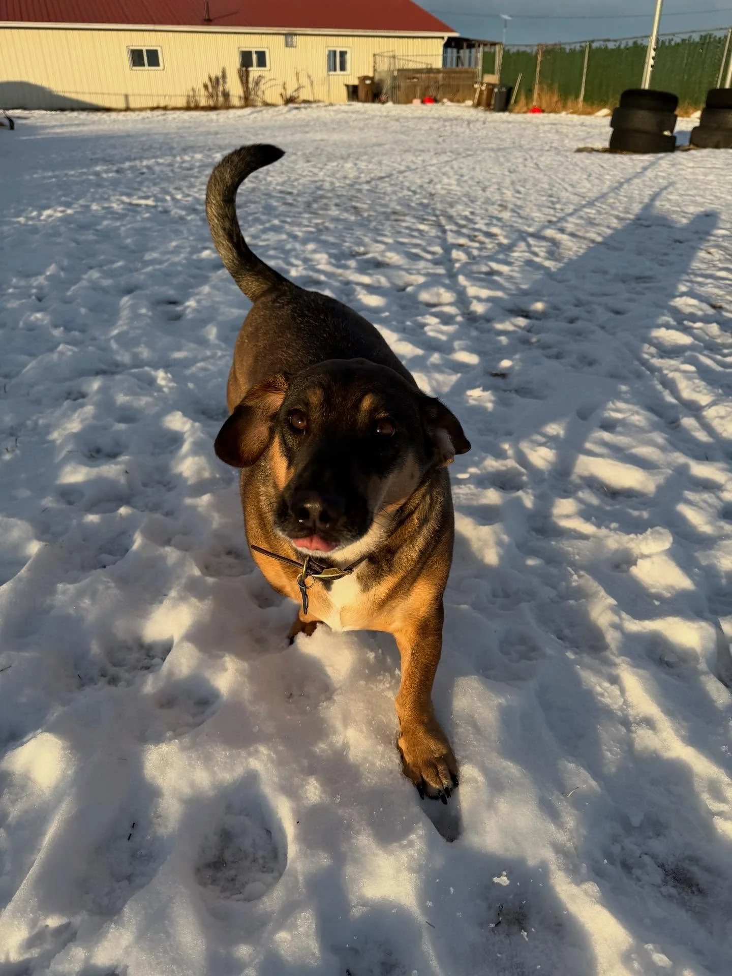 December lovin&rsquo; 😍