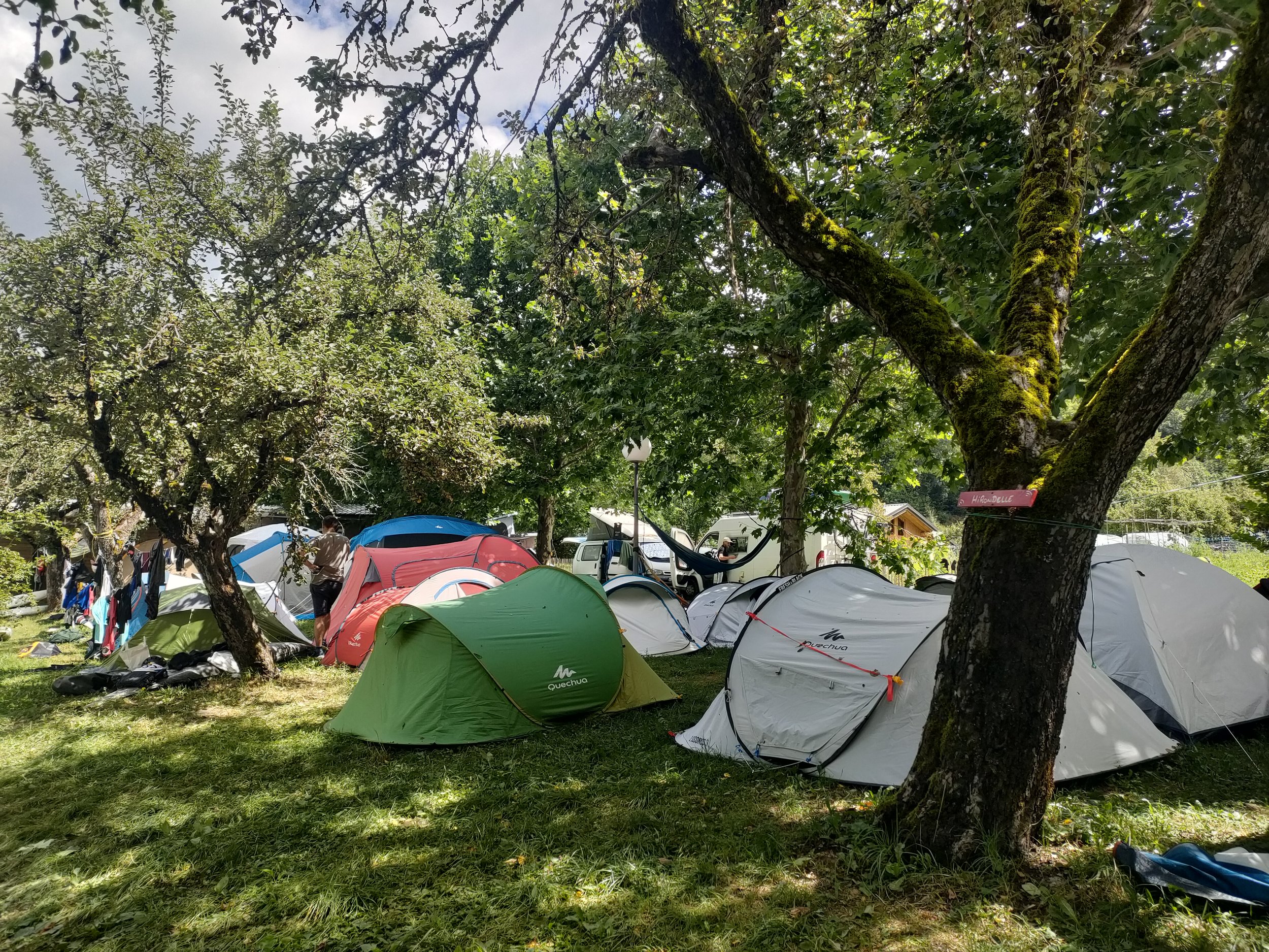 Camping paisible sous les arbres.jpg