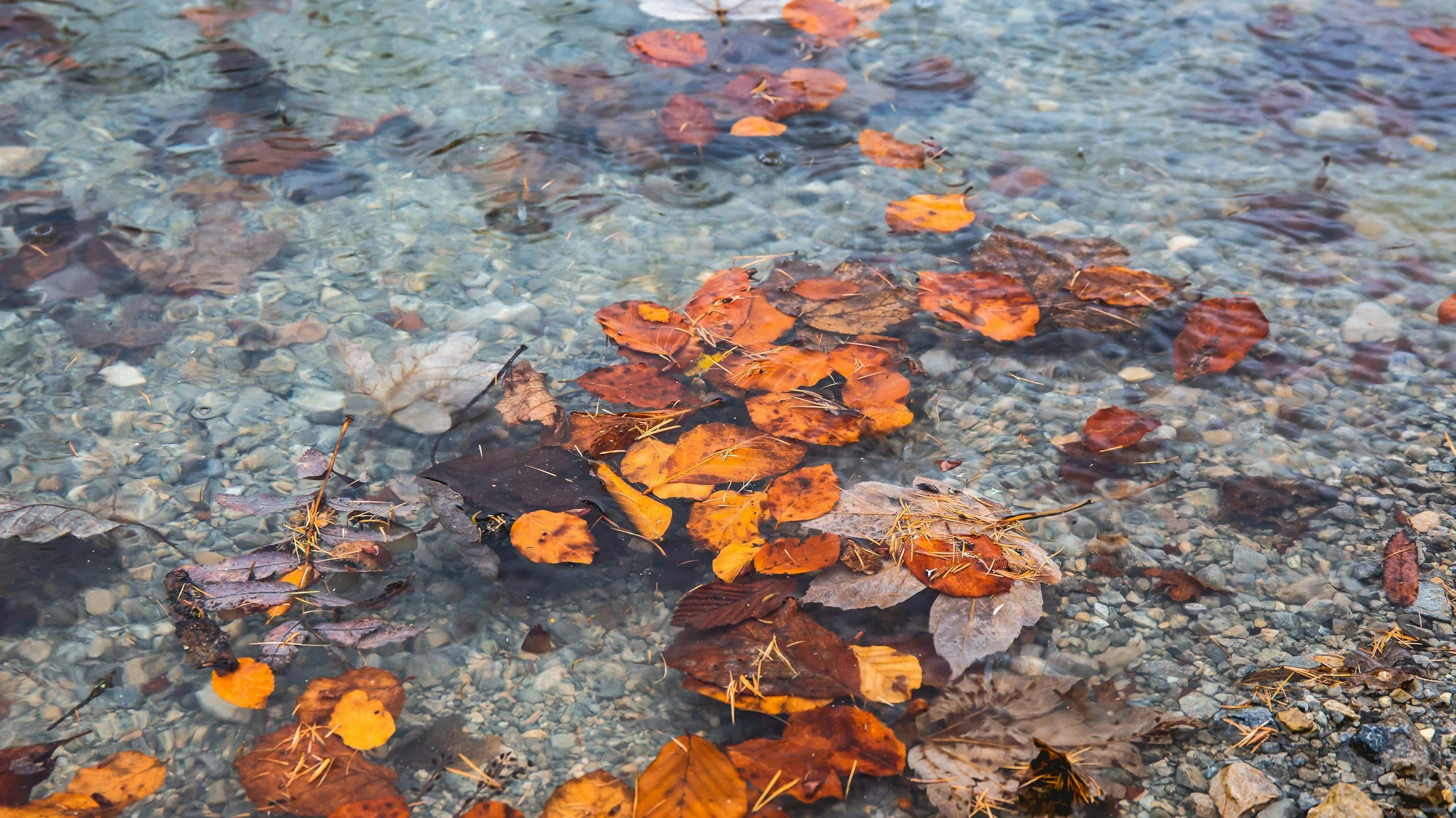 Slowing down is not the same as being slow