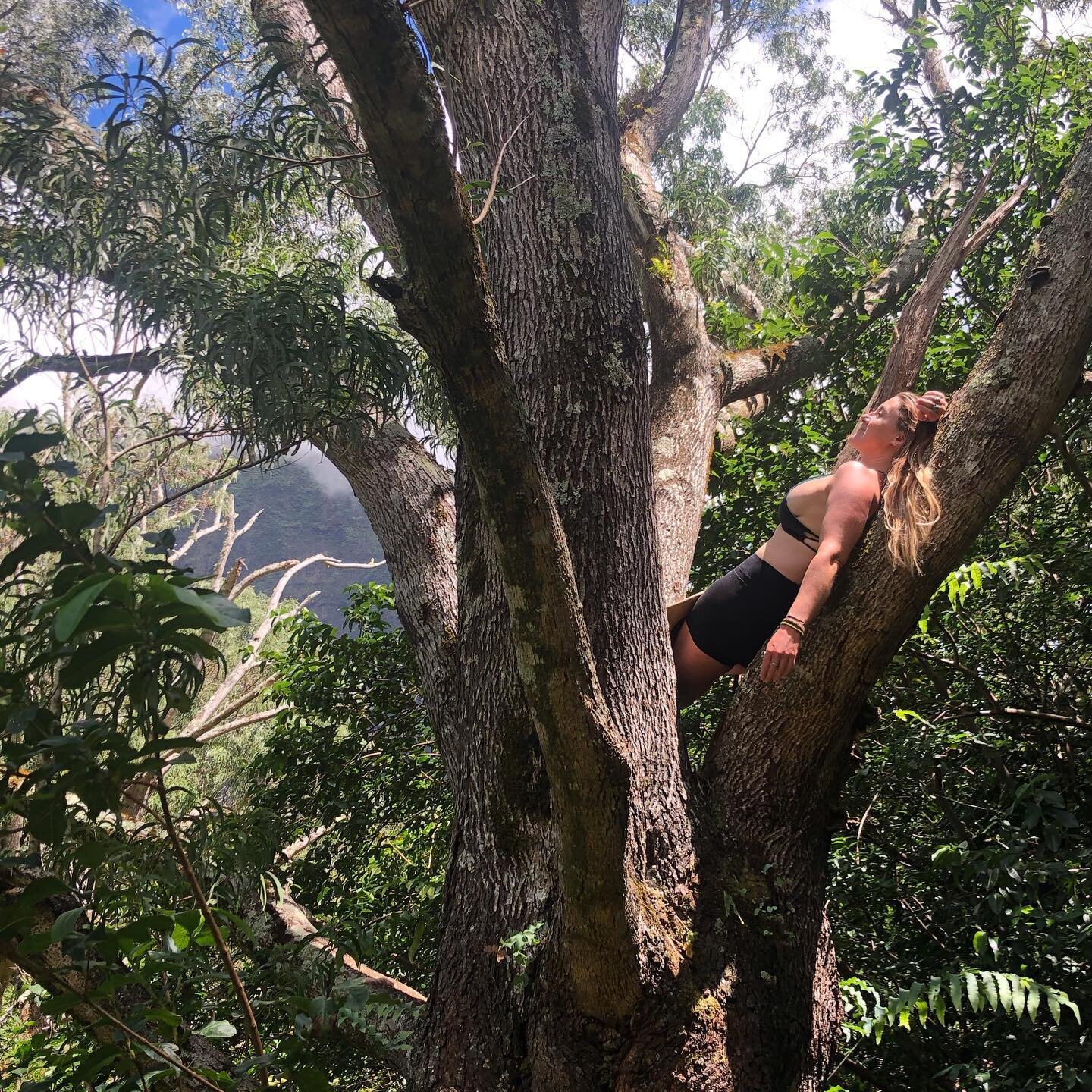 When life gives you dope-ass trees, you climb them!!
🍃
It&rsquo;s fun to look for moments where you can act like a kid again! I feel like I sometimes get stuck in just the constant tasks of being an adult that can suck your soul away&hellip; for exa