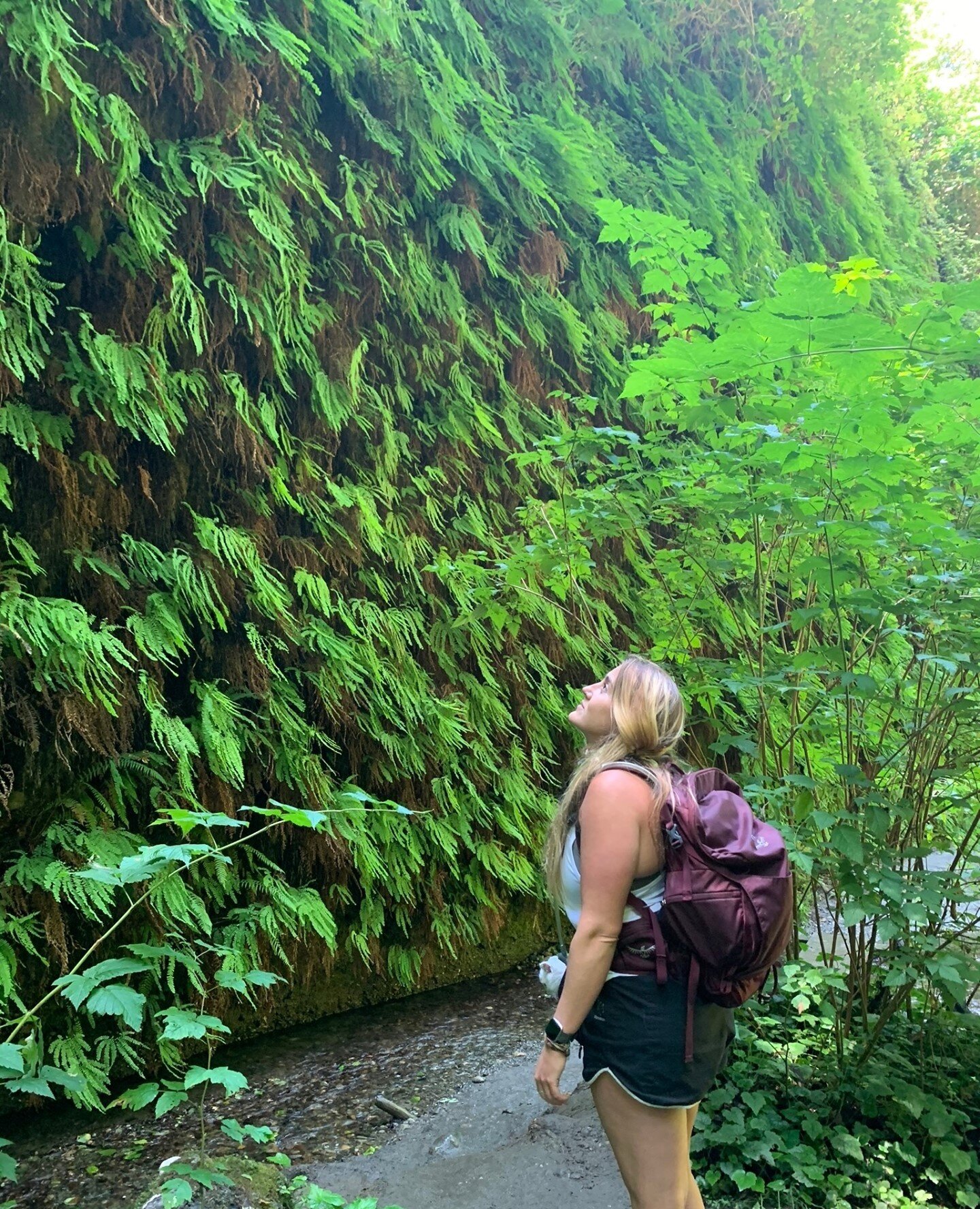 🌿 Fern Canyon 🌿⁠
A hidden gem in the northern pacific coast of California and a place I was lucky enough to visit twice last year. ⁠
🌿⁠
The more time I spend in nature and away from the hustle and bustle, the more I crave it. The stillness, cool w