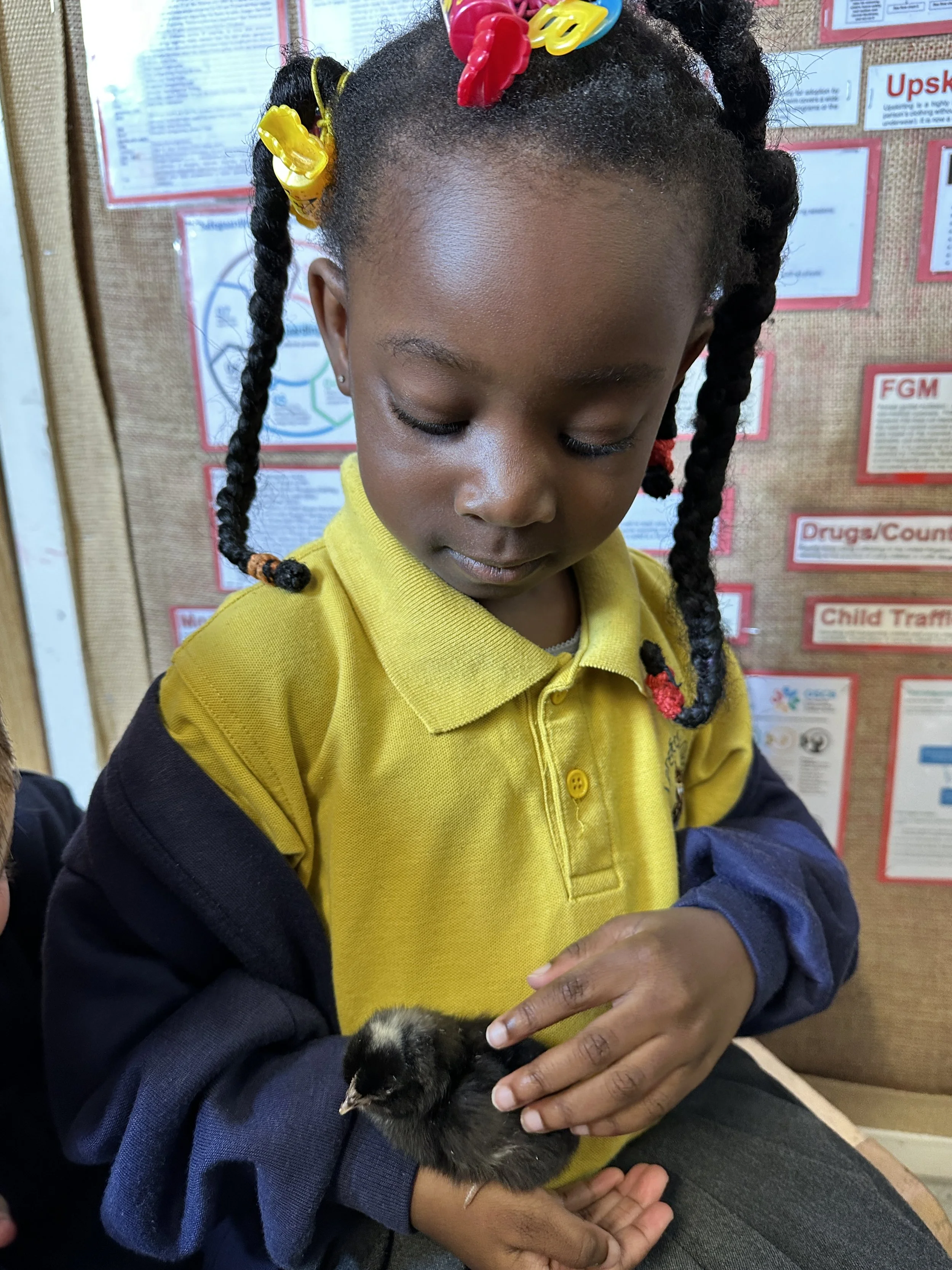 Widening Life Experiences