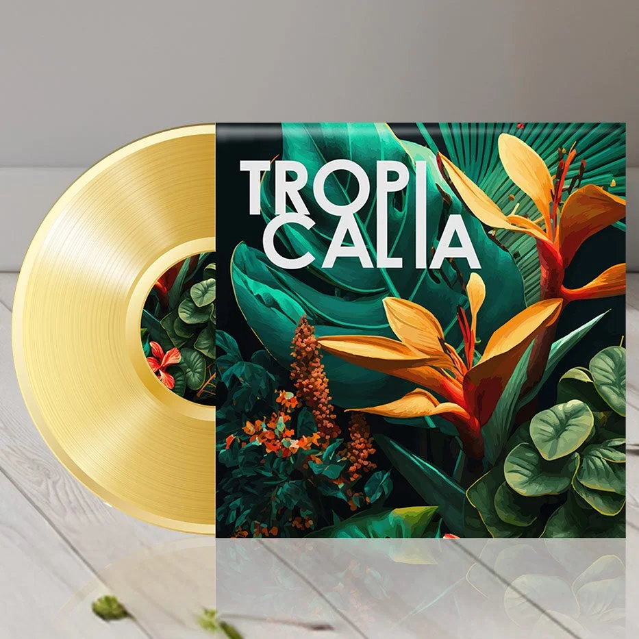 Tropicalia by Samba Rock